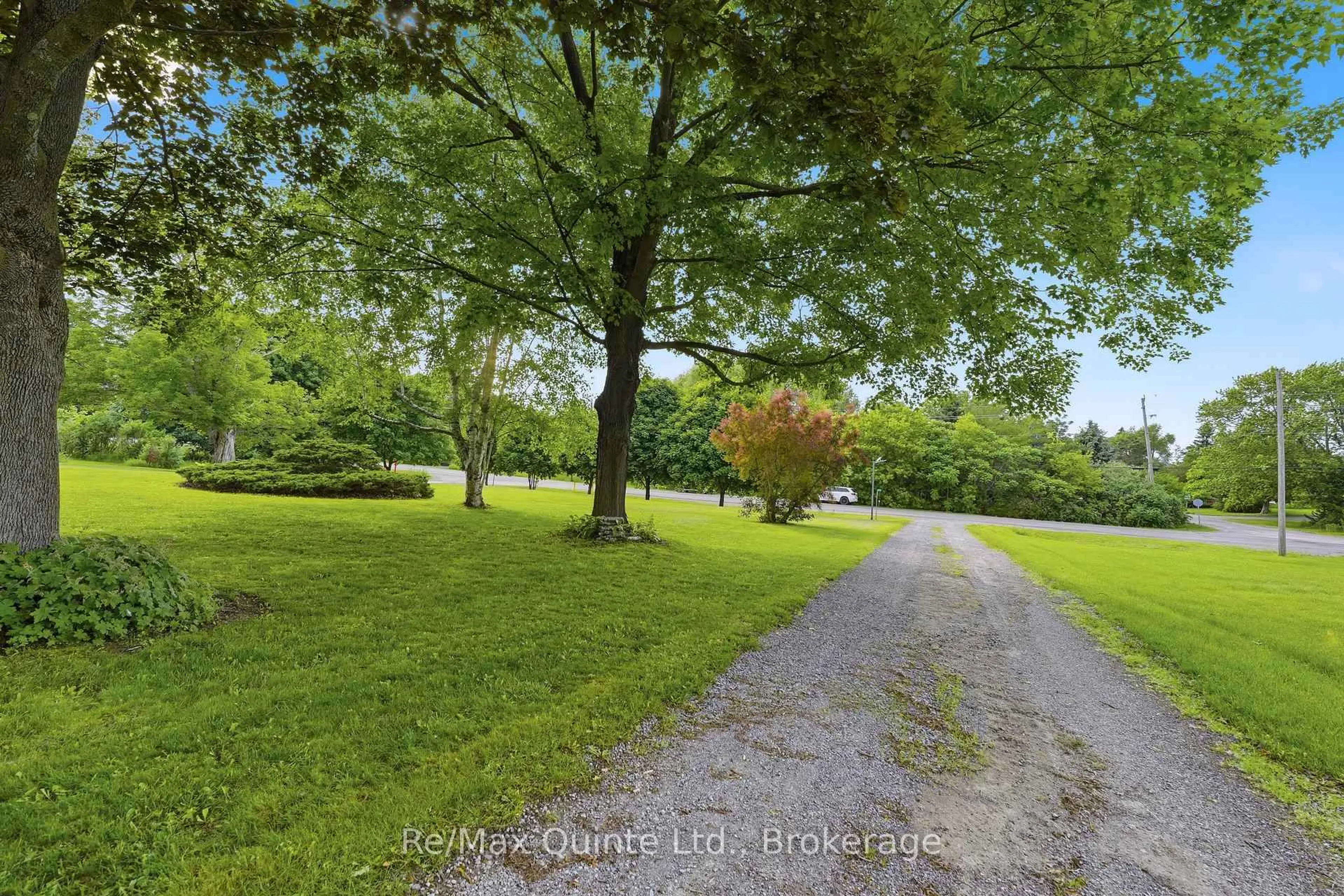 A pic from outside/outdoor area/front of a property/back of a property/a pic from drone, forest/trees view for 97C County Road 18, Prince Edward County Ontario K0K 1P0