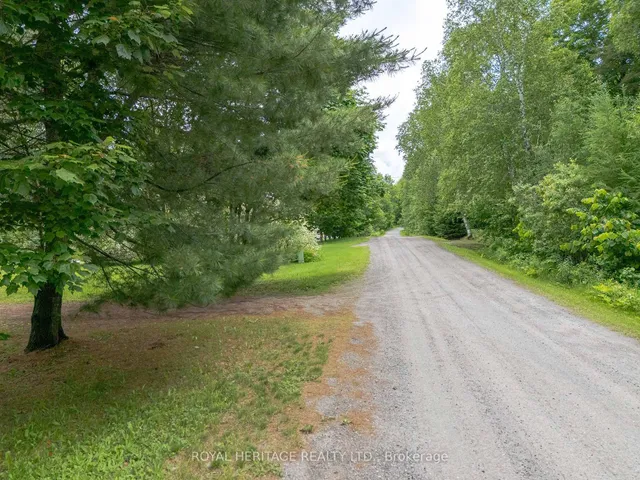 34 Gordon Point Rd, Magnetawan 3
