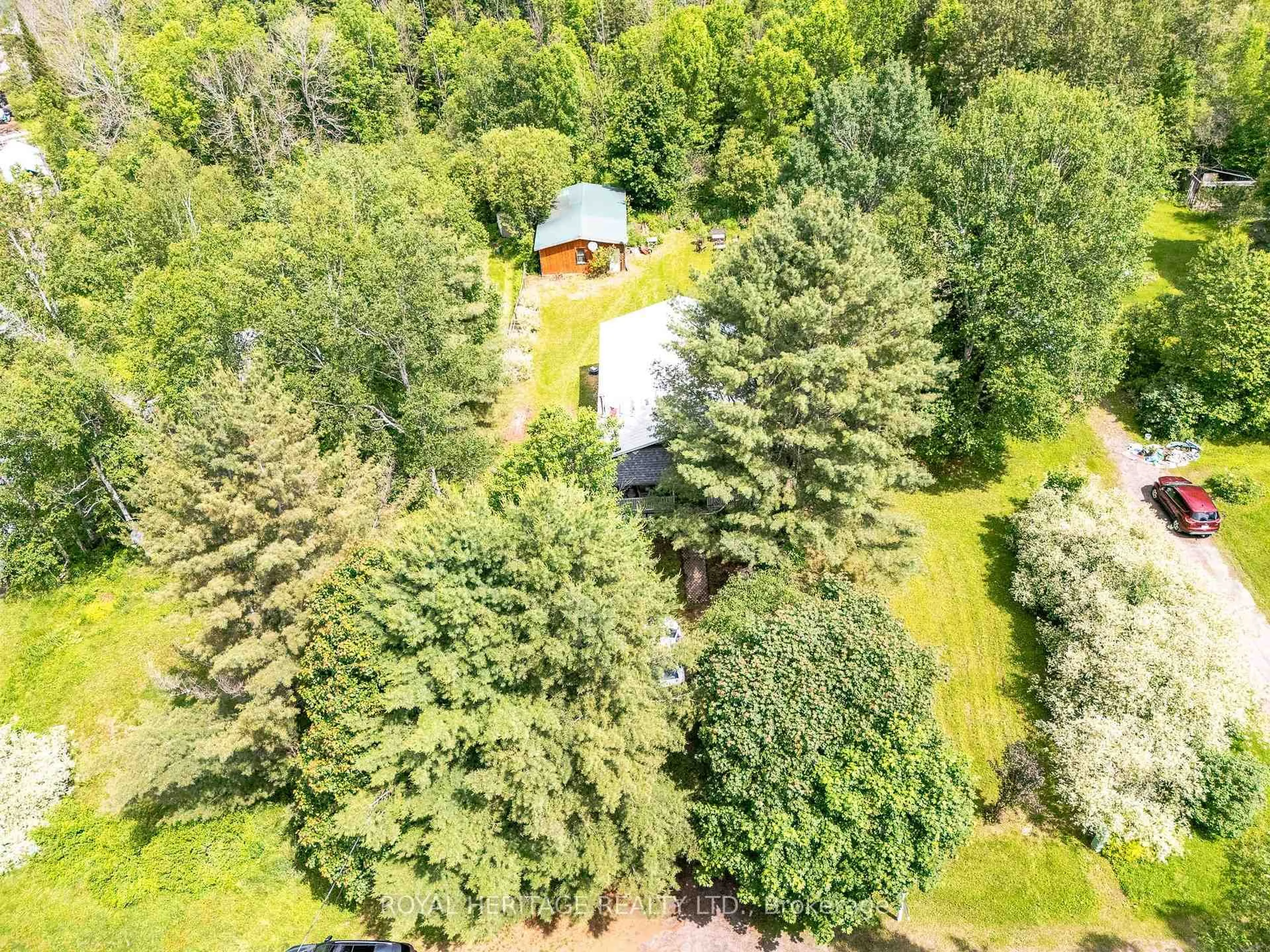 A pic from outside/outdoor area/front of a property/back of a property/a pic from drone, forest/trees view for 34 Gordon Point Rd, Magnetawan Ontario P0A 1P0