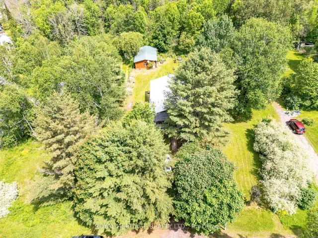 34 Gordon Point Rd, Magnetawan 4