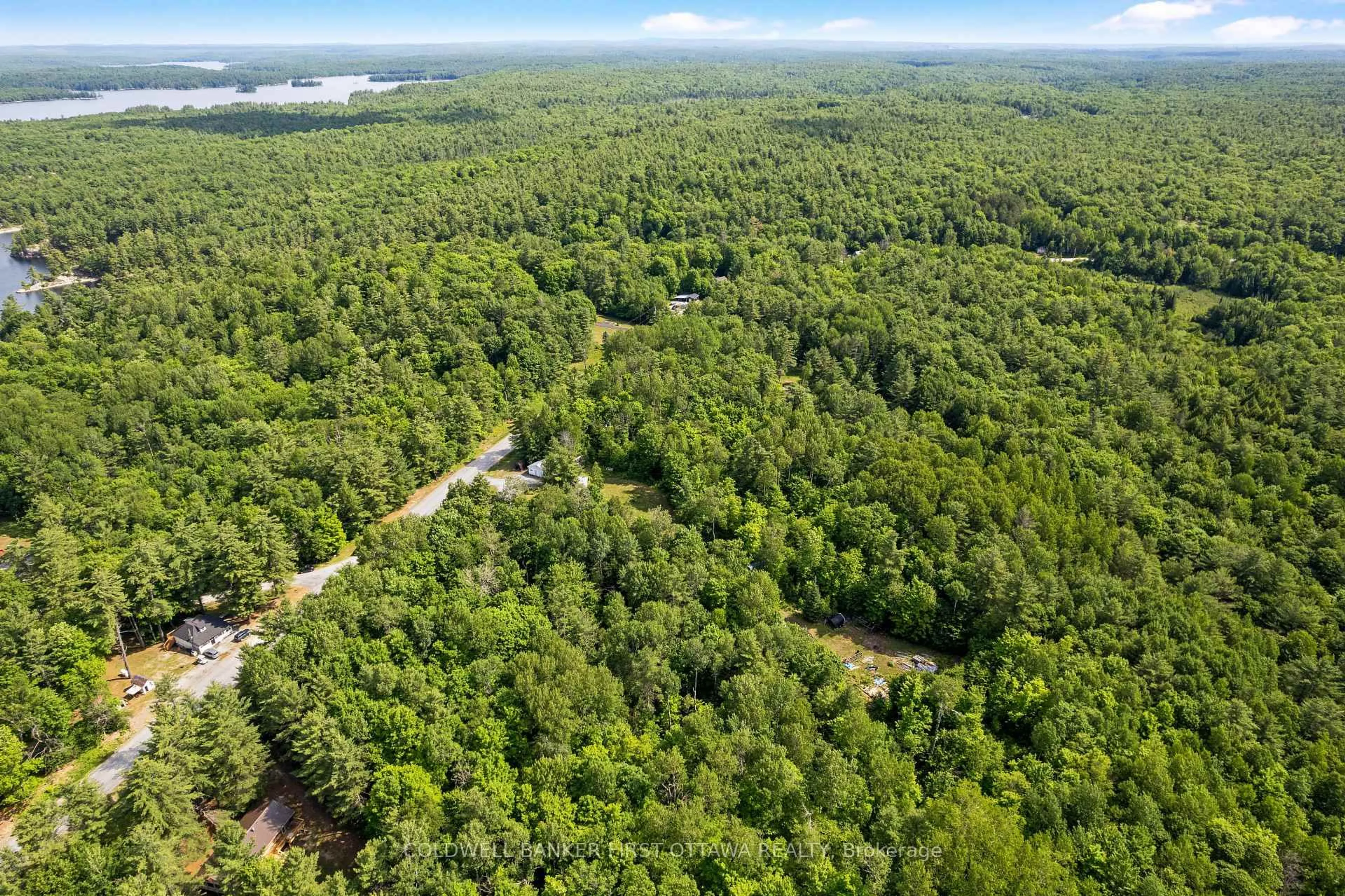 A pic from outside/outdoor area/front of a property/back of a property/a pic from drone, forest/trees view for 2625 Ardoch Rd, Clarendon Station Ontario K0H 1J0