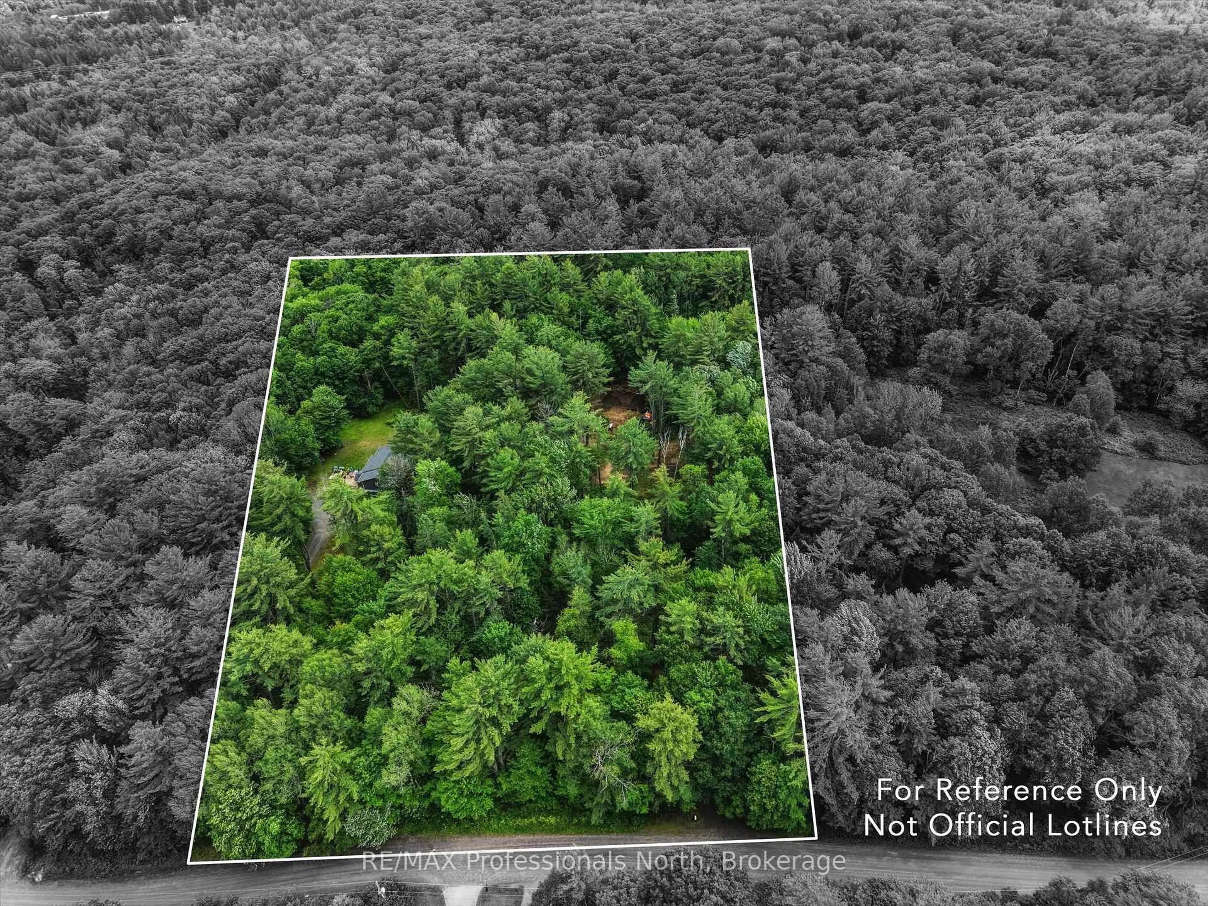 A pic from outside/outdoor area/front of a property/back of a property/a pic from drone, forest/trees view for 81 WATSON Lane, Huntsville Ontario P0B 1M0