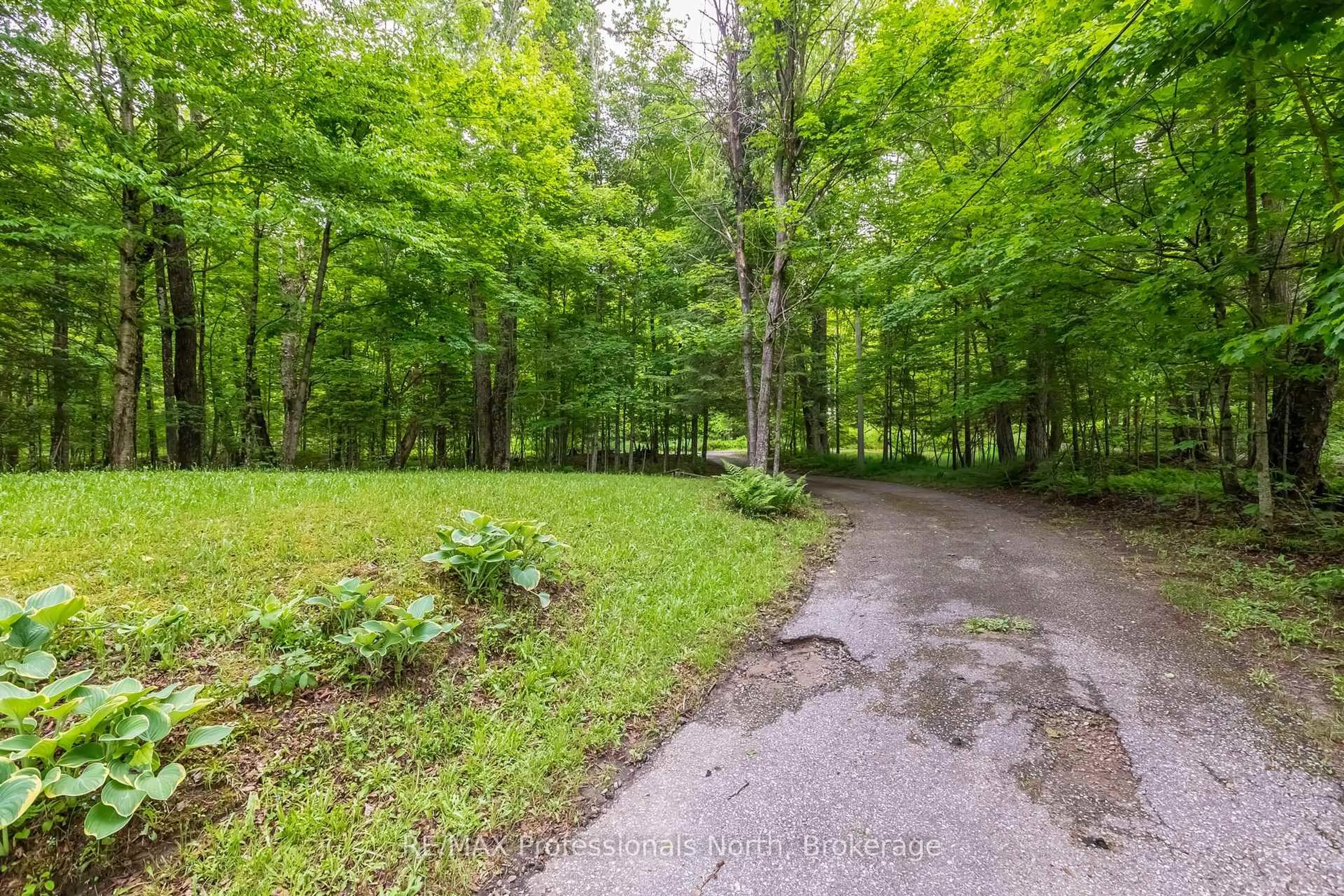 Patio, forest/trees view for 339 Sunnylea Ave, Armour Ontario P0A 1L0