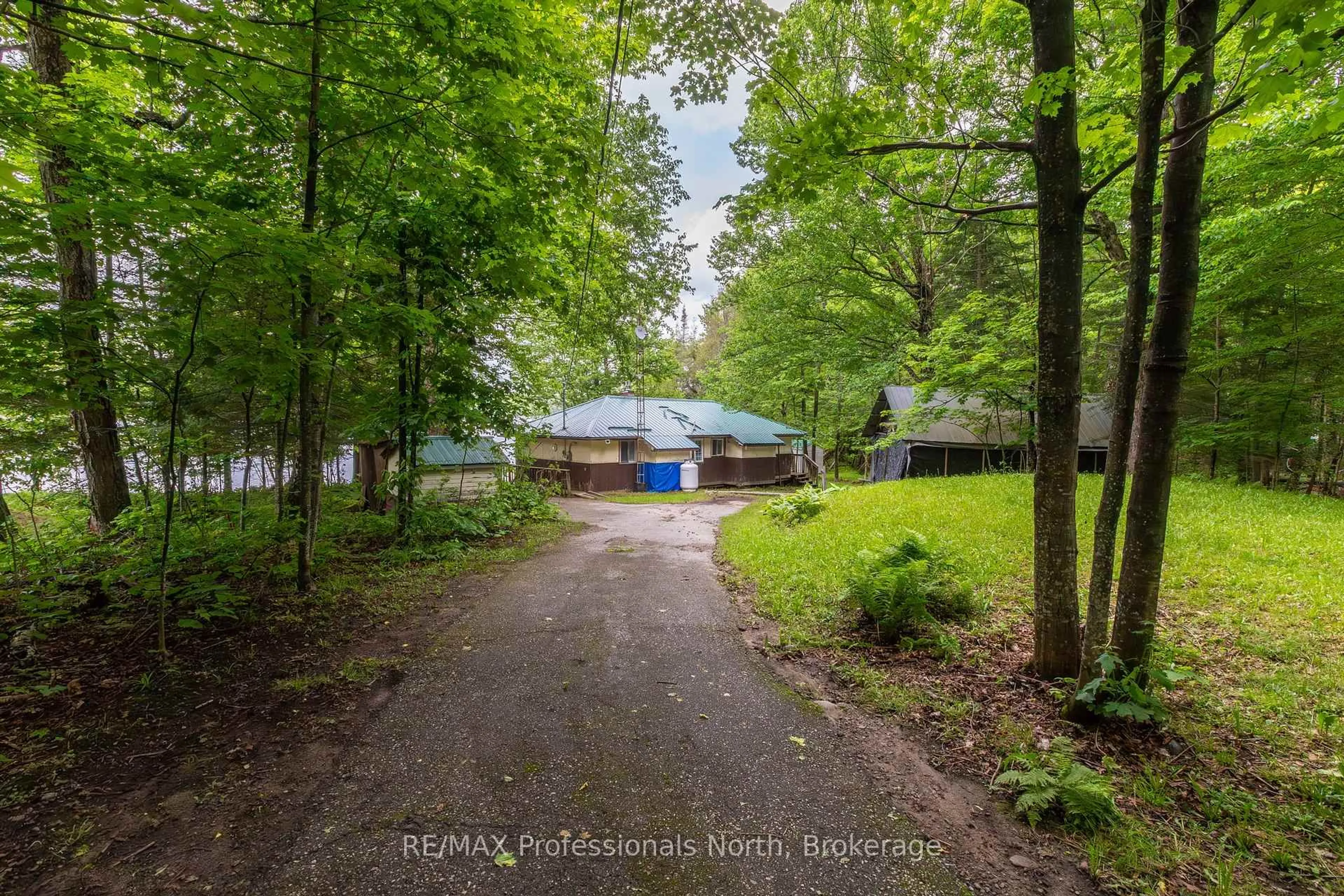 A pic from outside/outdoor area/front of a property/back of a property/a pic from drone, forest/trees view for 339 Sunnylea Ave, Armour Ontario P0A 1L0