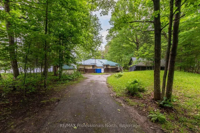 339 Sunnylea Ave, Armour 3