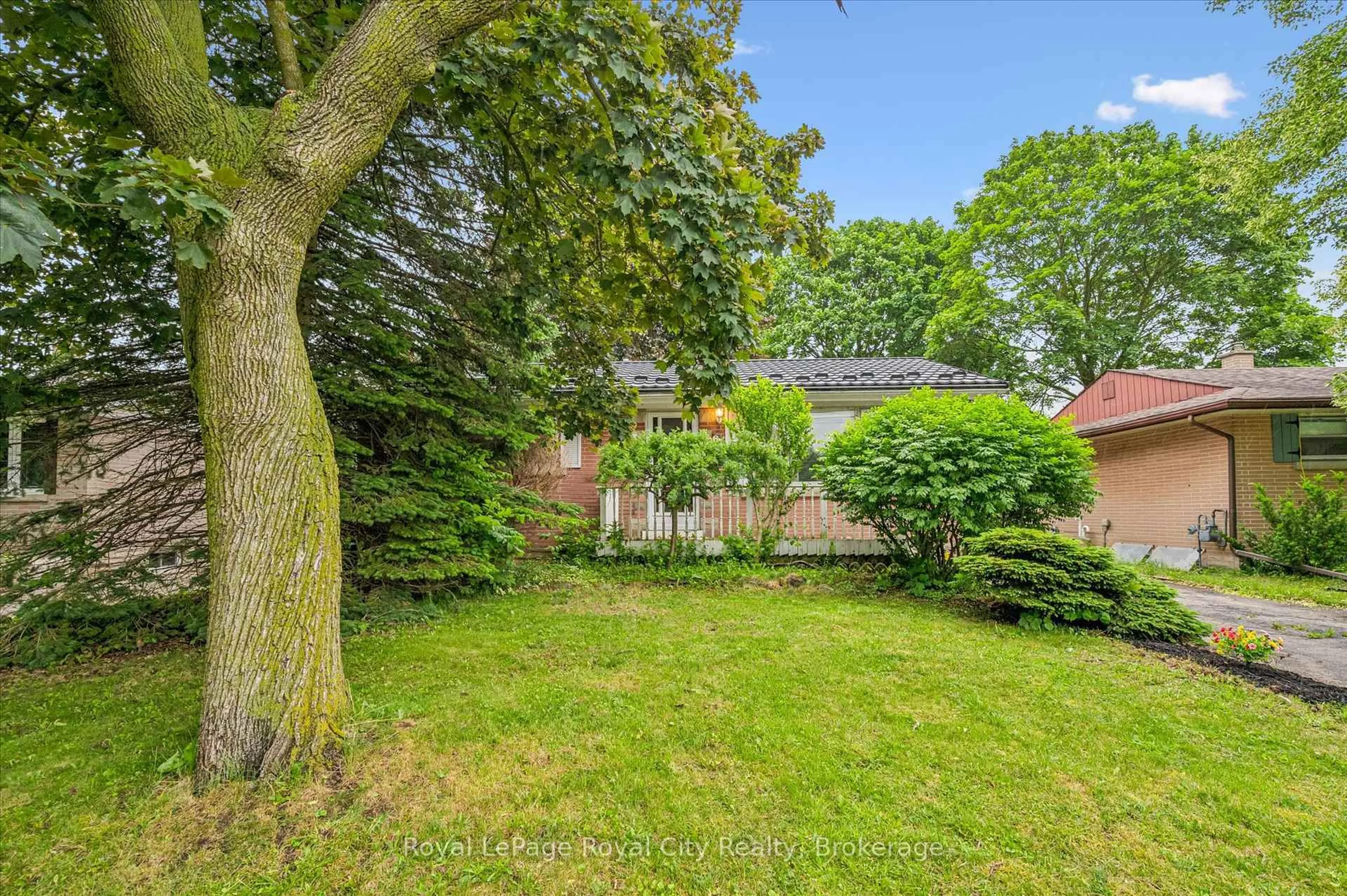 A pic from outside/outdoor area/front of a property/back of a property/a pic from drone, forest/trees view for 87 Cassino Ave, Guelph Ontario N1E 2J4