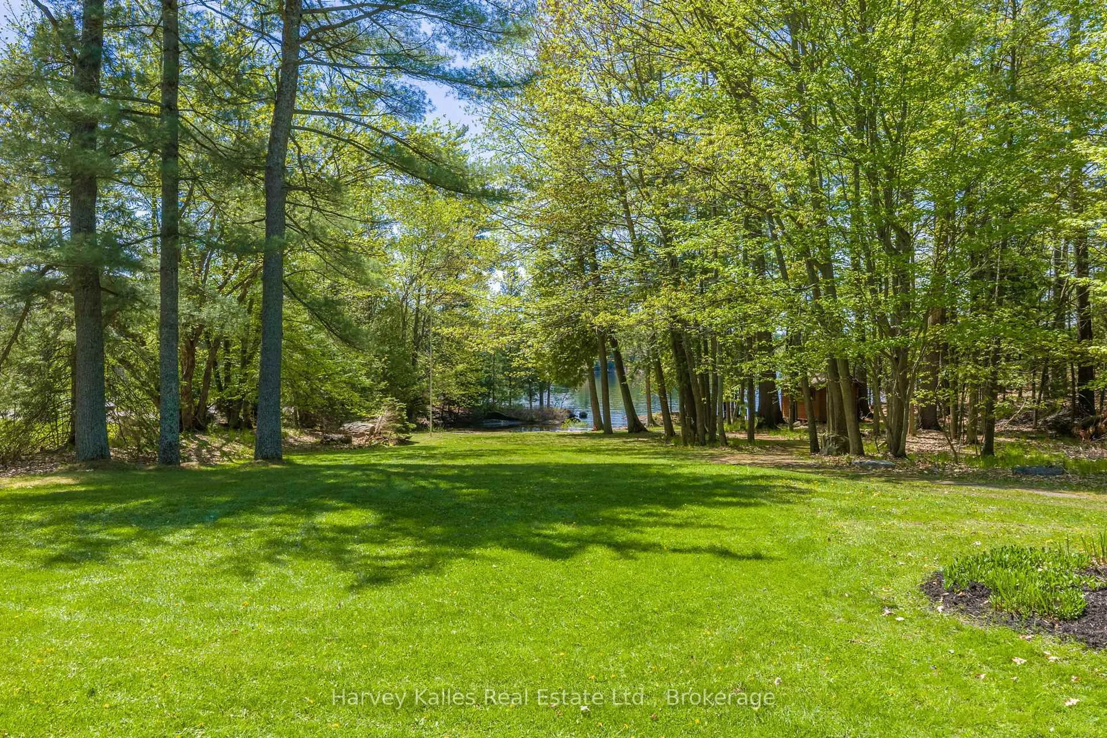 A pic from outside/outdoor area/front of a property/back of a property/a pic from drone, forest/trees view for 1615 Muskoka Rd, Gravenhurst Ontario P1P 1R4