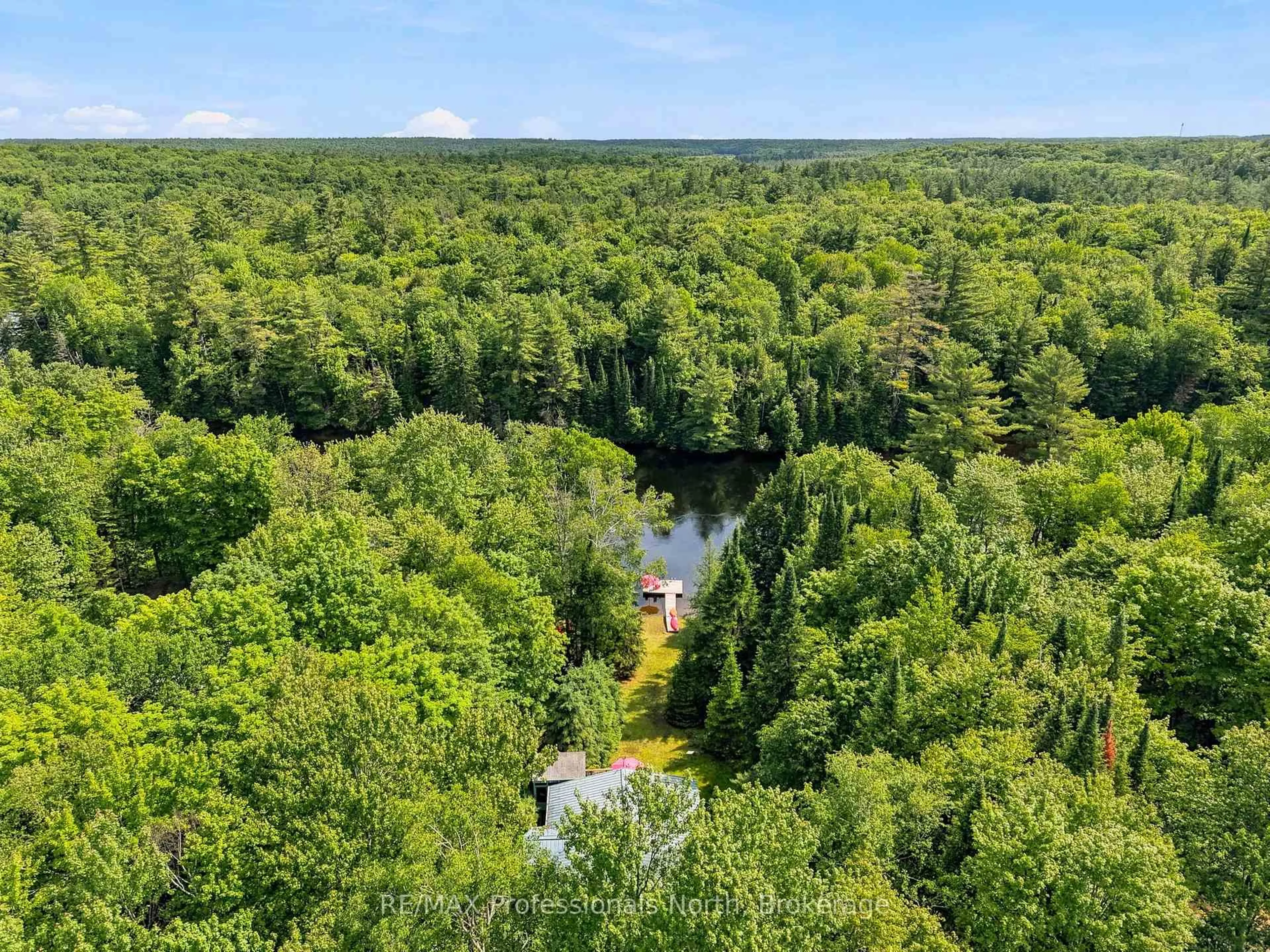 A pic from outside/outdoor area/front of a property/back of a property/a pic from drone, forest/trees view for 1245 Sherwood Forest Rd, Bracebridge Ontario P1L 1X3