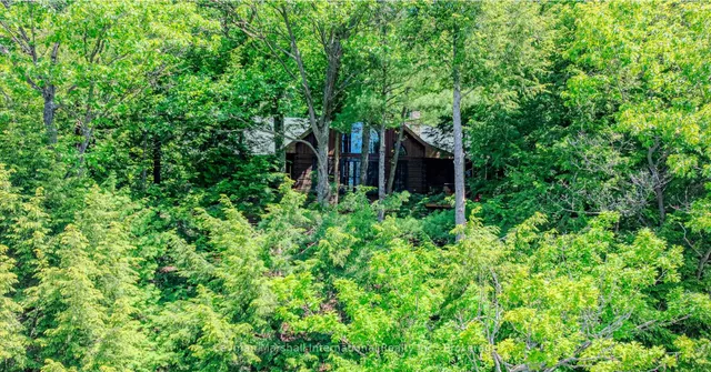 1815 Mortimers Point Rd #75, Muskoka Lakes 3
