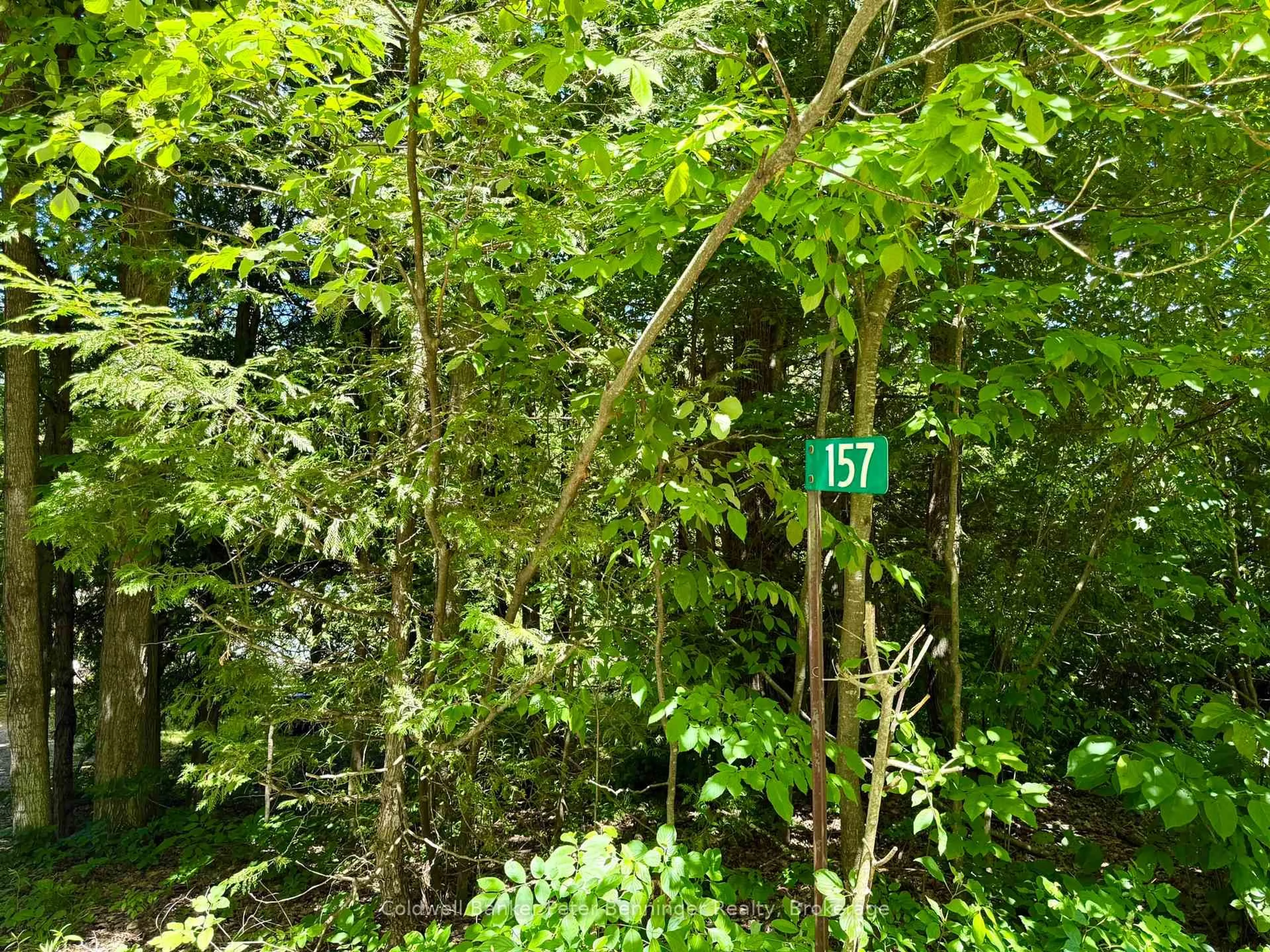 Unknown for 157 Anderson Dr, West Grey Ontario N0G 1S0