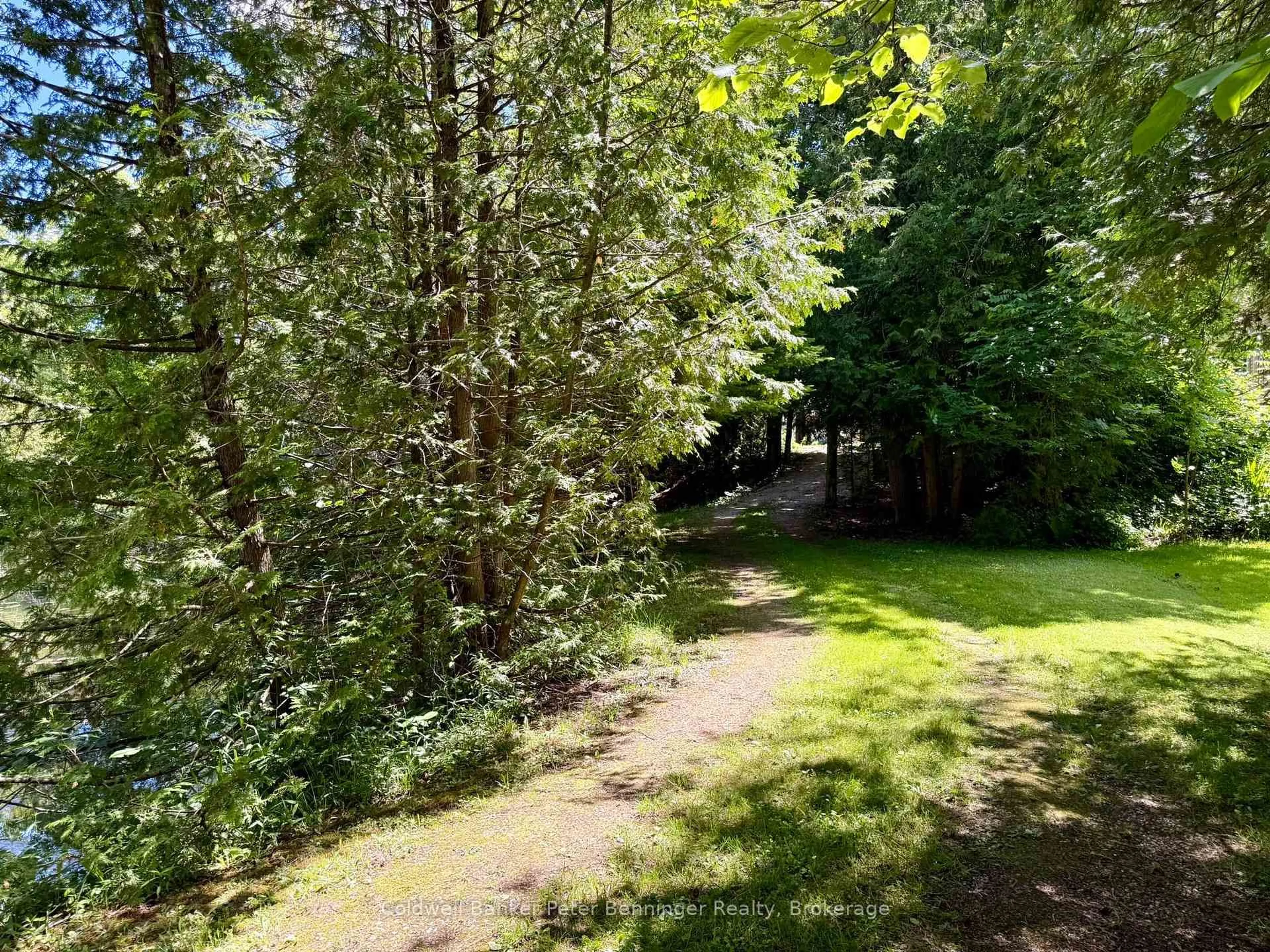 A pic from outside/outdoor area/front of a property/back of a property/a pic from drone, forest/trees view for 157 Anderson Dr, West Grey Ontario N0G 1S0