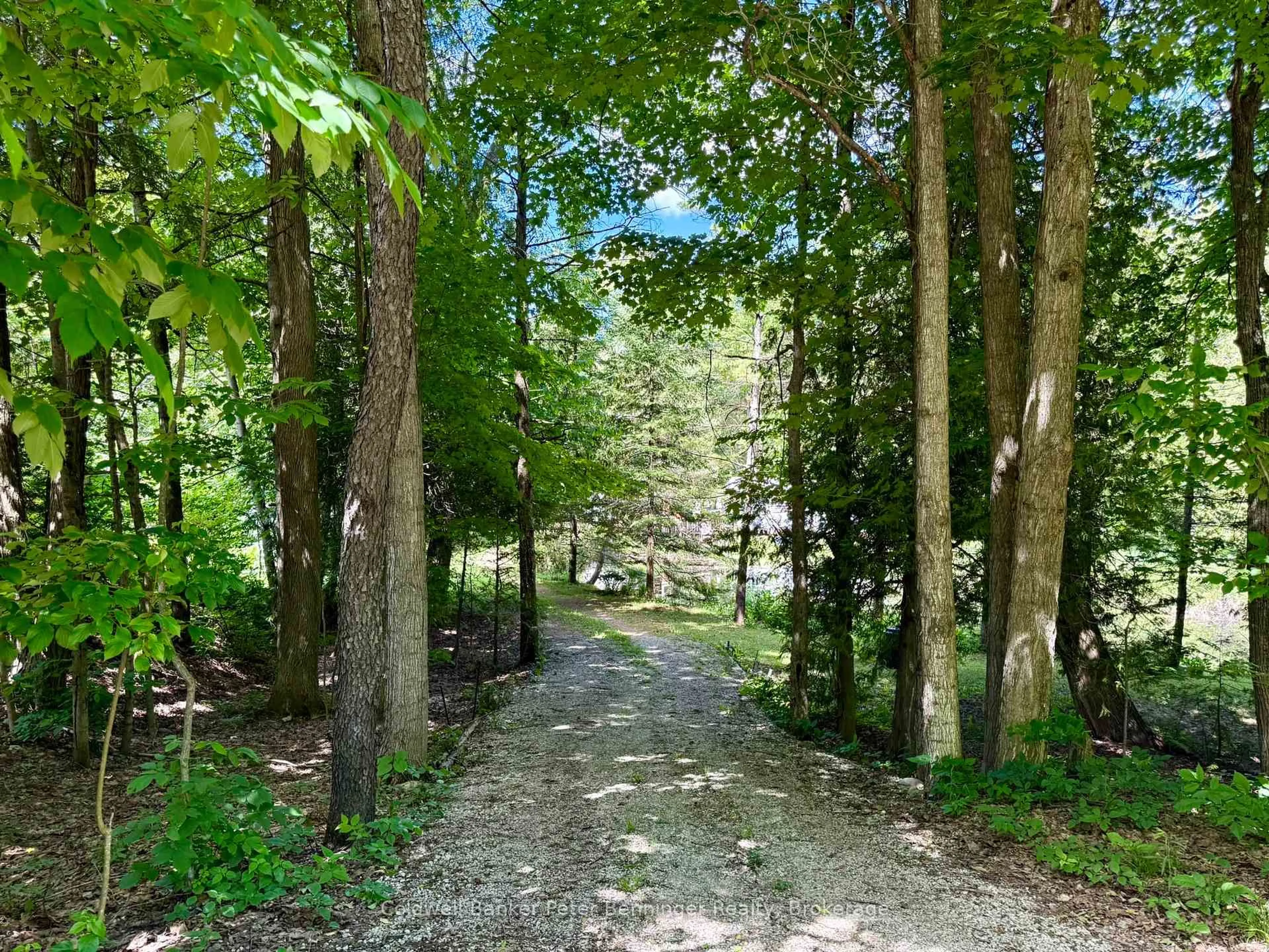 Patio, forest/trees view for 157 Anderson Dr, West Grey Ontario N0G 1S0