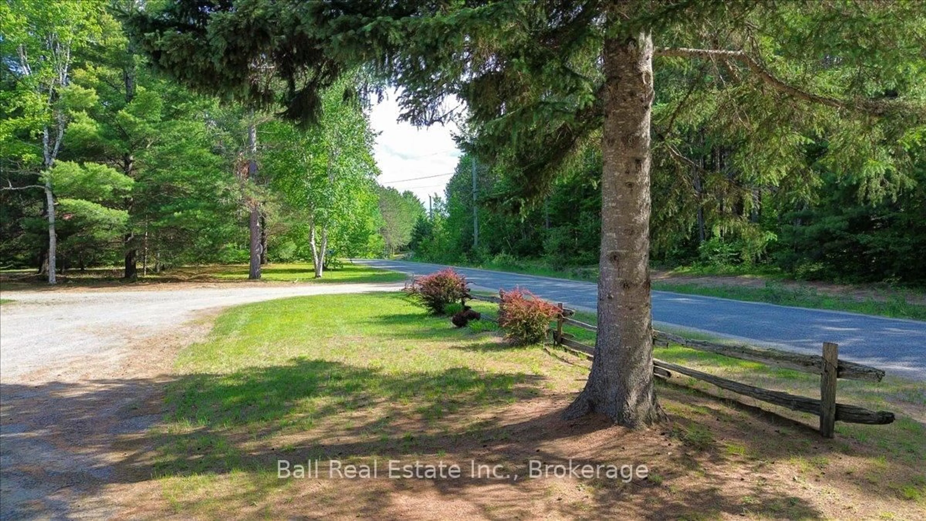A pic from outside/outdoor area/front of a property/back of a property/a pic from drone, forest/trees view for 214A Centre Rd, Maynooth Ontario K0L 2K0
