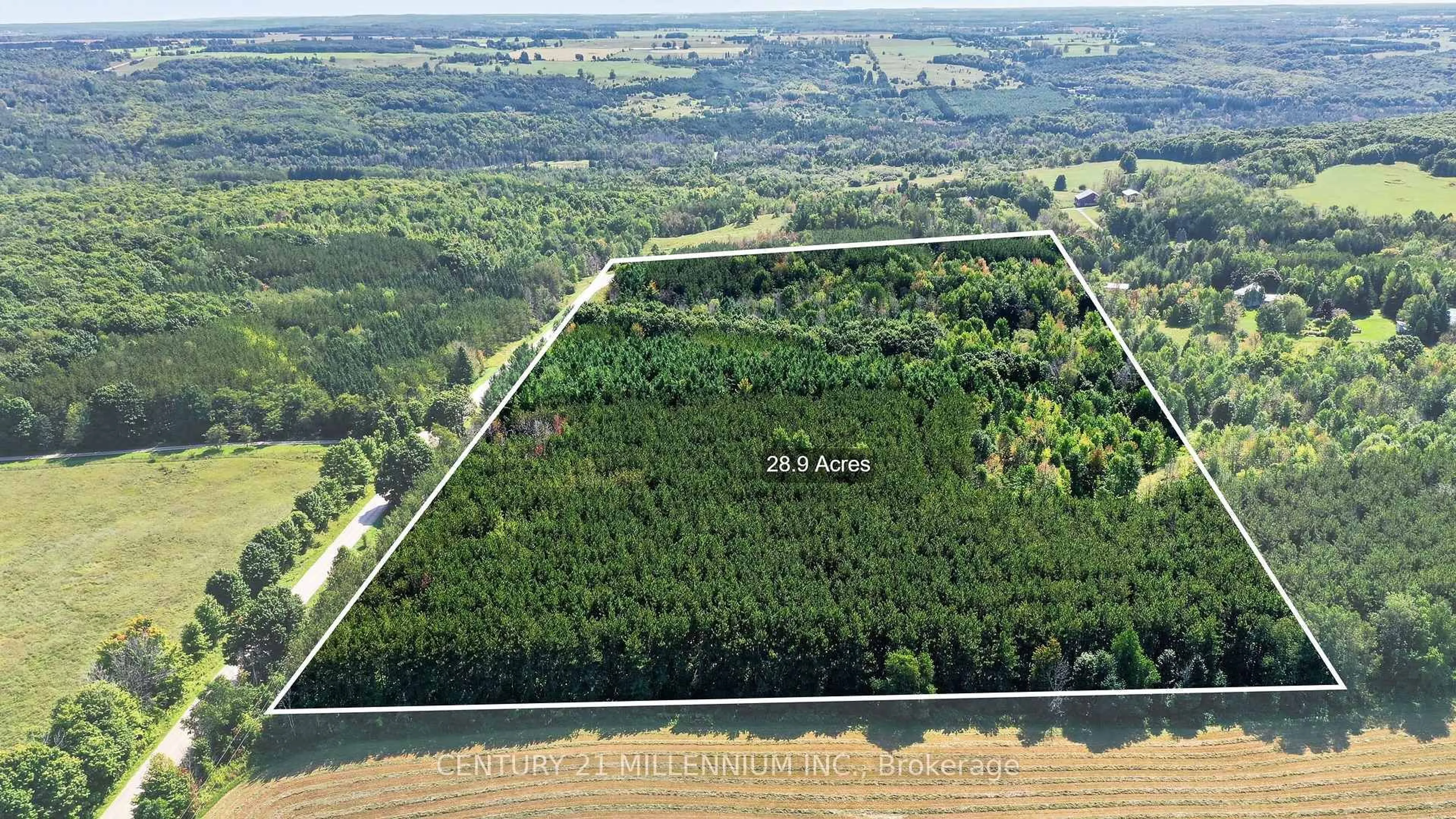 A pic from outside/outdoor area/front of a property/back of a property/a pic from drone, forest/trees view for 597334 2nd Line, Mulmur Ontario L9V 0B4