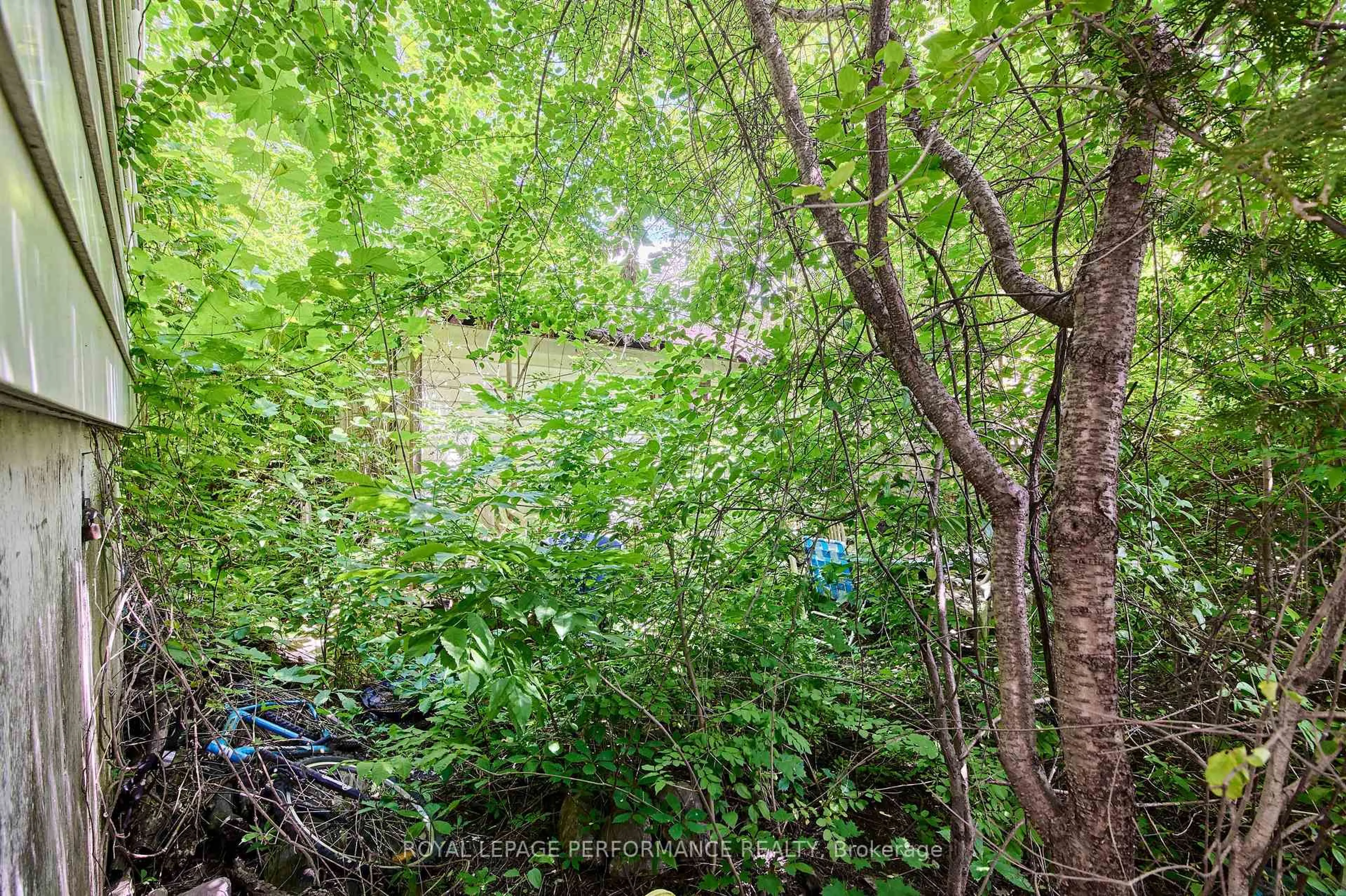 Unknown for 6 Ossington Ave, Ottawa Ontario K1S 3B4