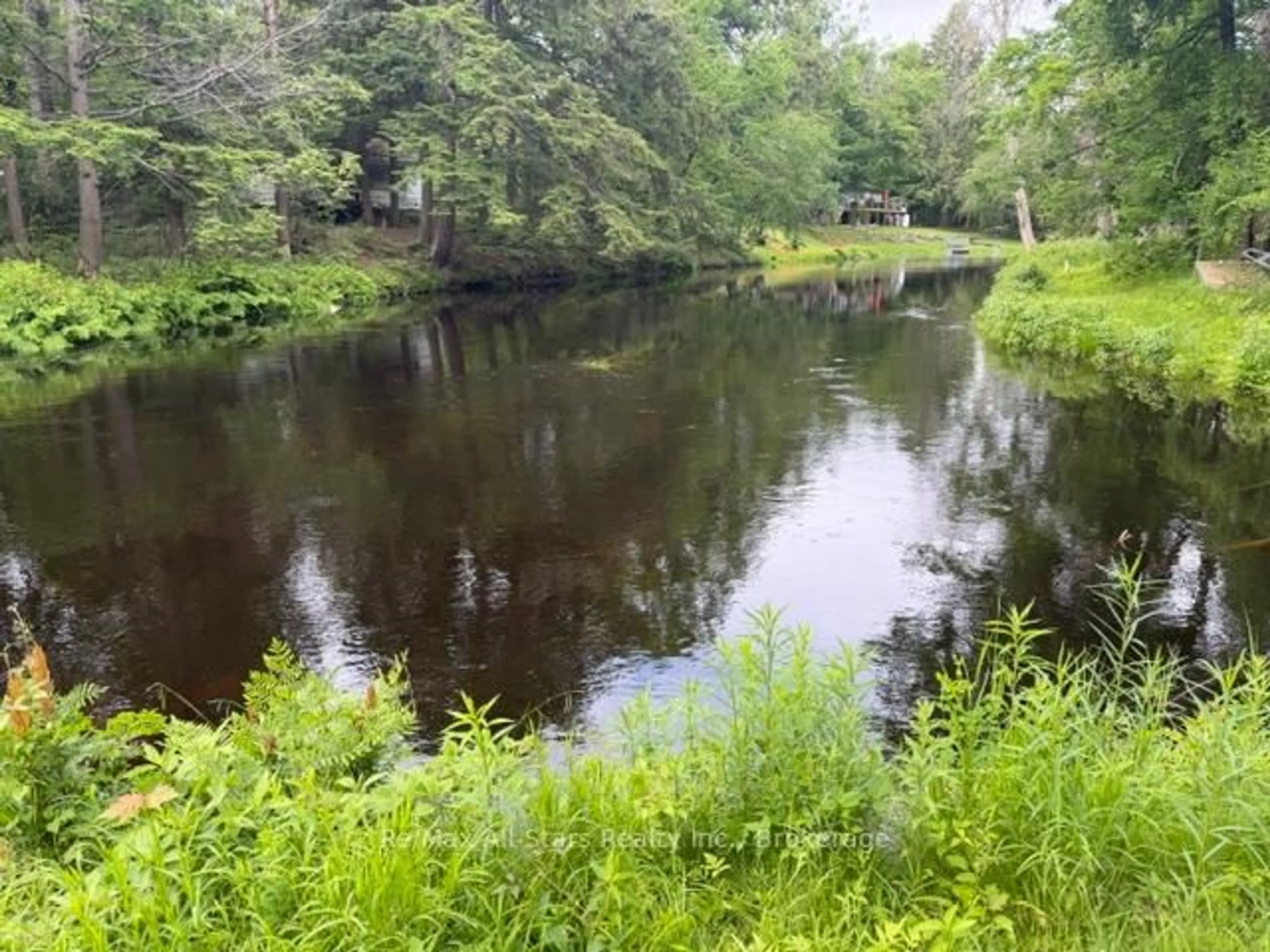 Blurry image for 286 Edwina Dr, Trent Lakes Ontario K0M 1A0