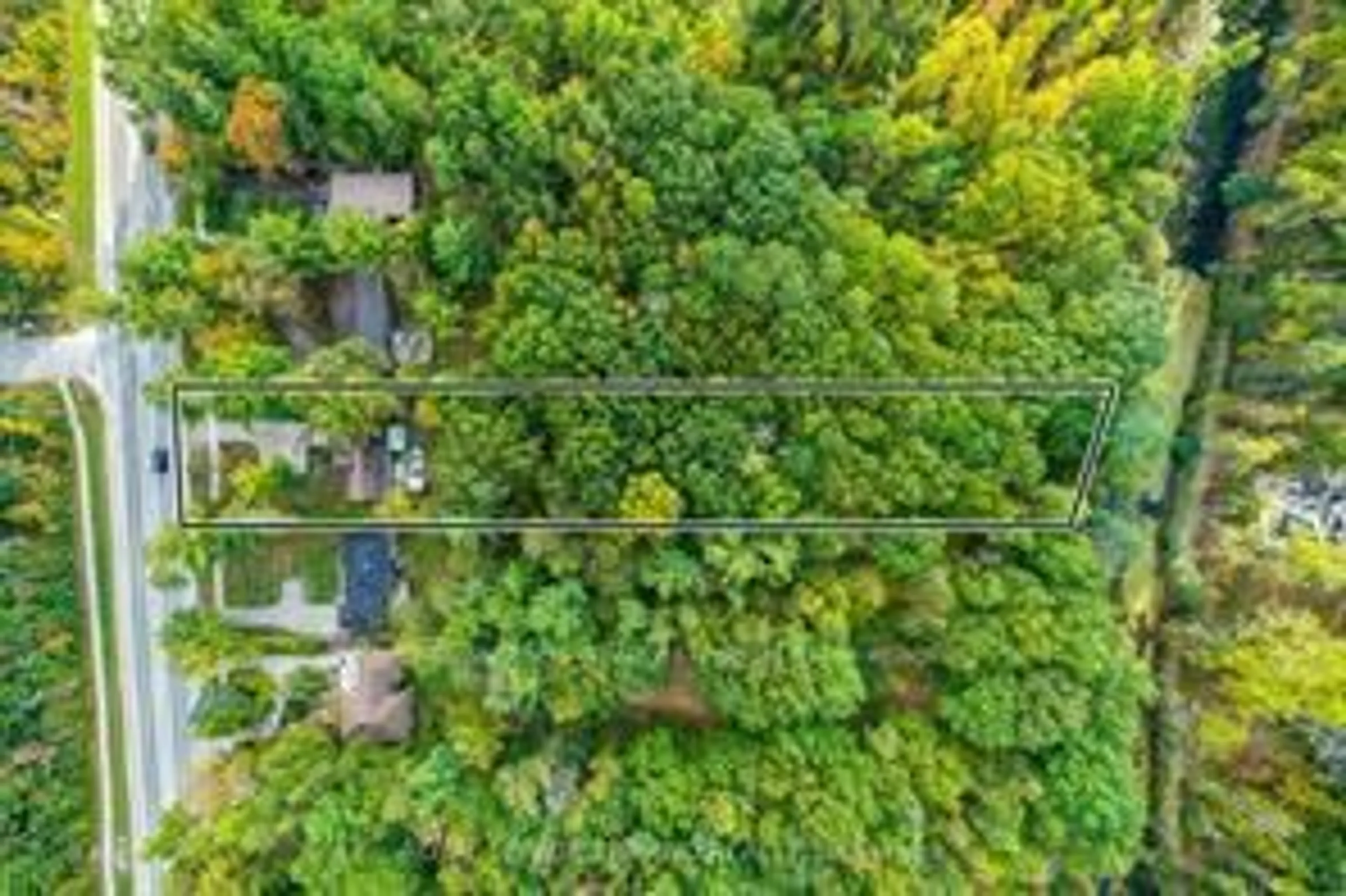 A pic from outside/outdoor area/front of a property/back of a property/a pic from drone, forest/trees view for 285 Ontario St, Lambton Shores Ontario N0M 1T0