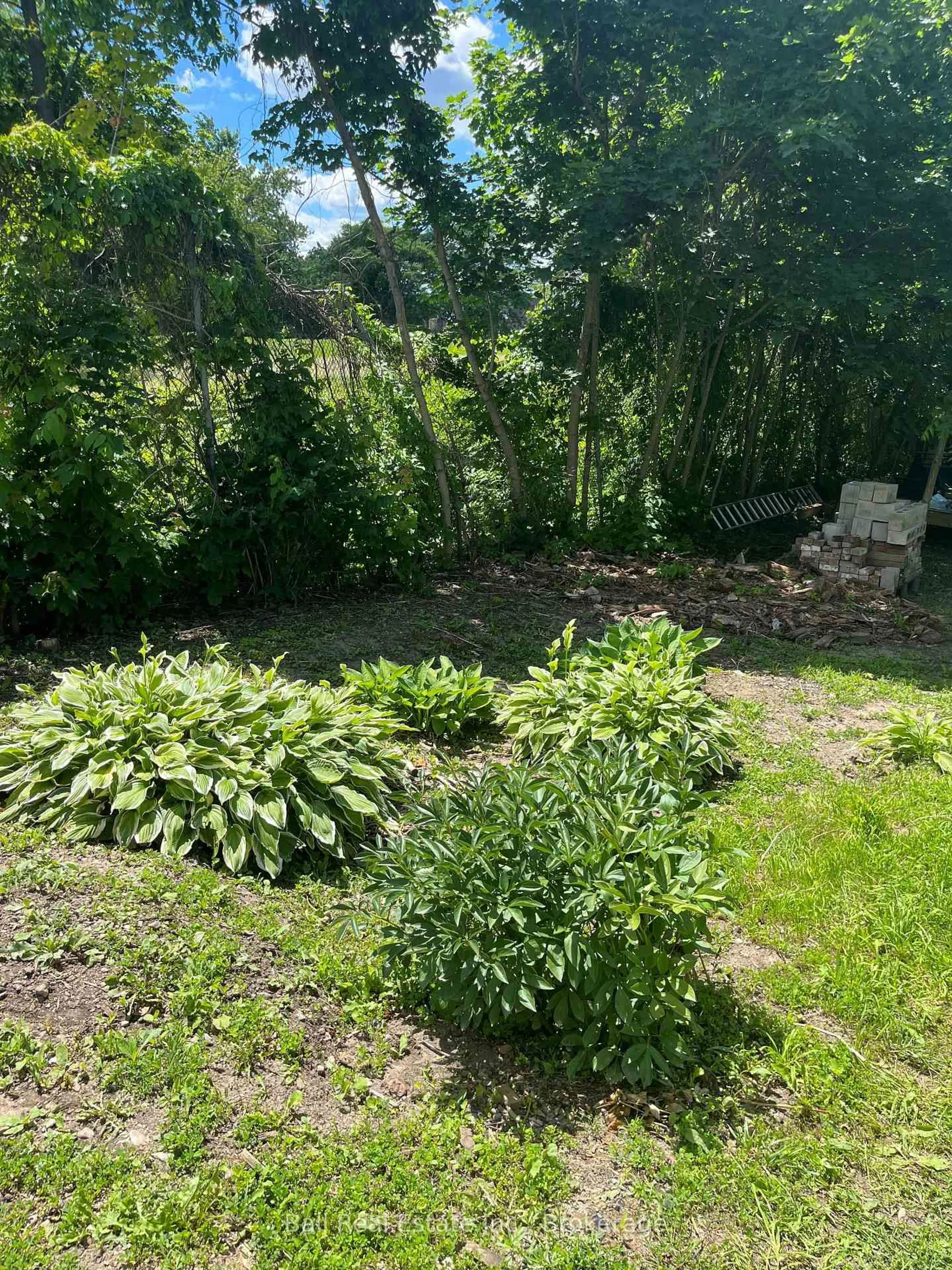 A pic from outside/outdoor area/front of a property/back of a property/a pic from drone, unknown for 28 Booth St, Trent Hills Ontario K0L 1L0