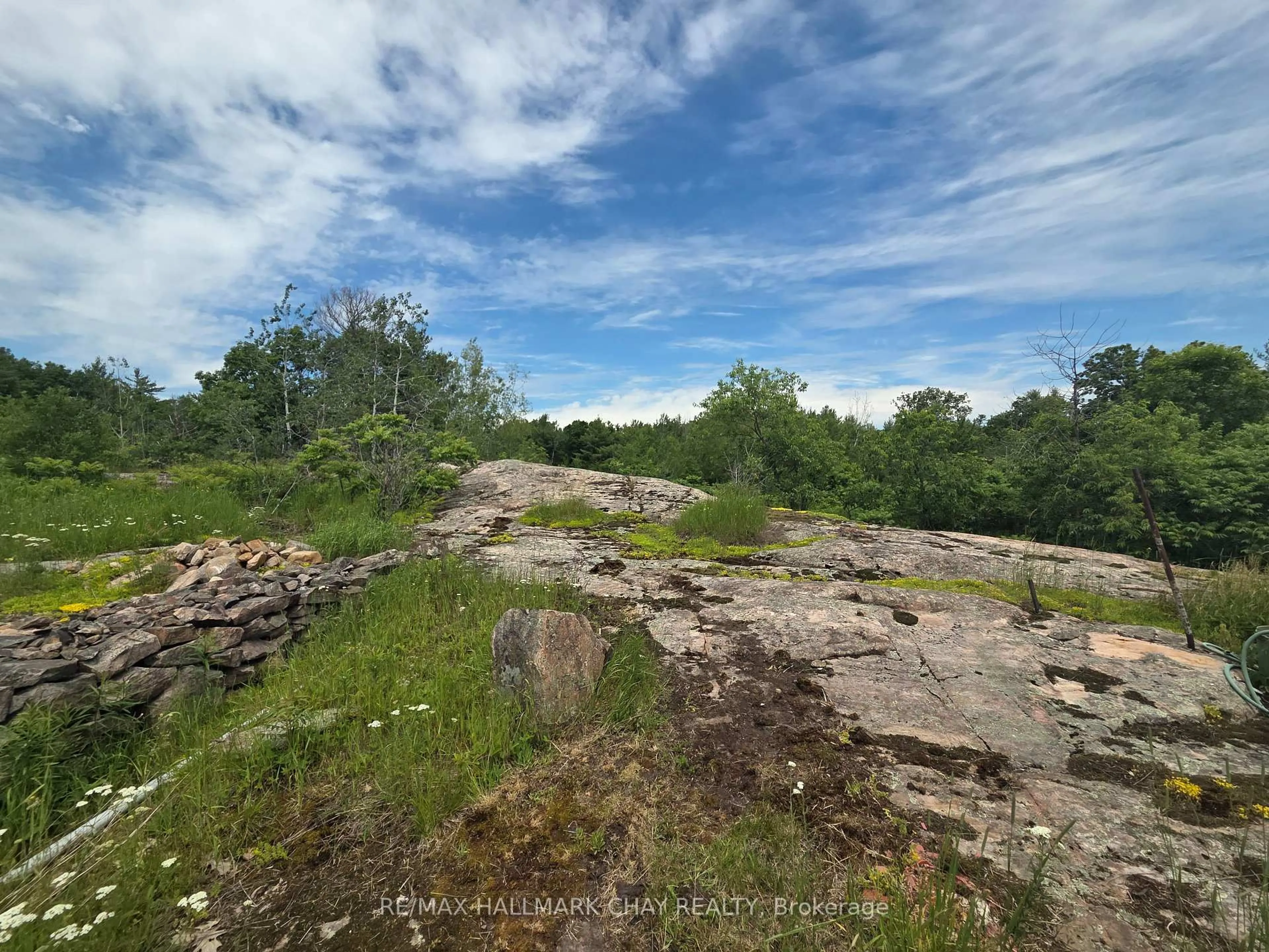 A pic from outside/outdoor area/front of a property/back of a property/a pic from drone, forest/trees view for 1594 Honey Harbour Rd, Georgian Bay Ontario L0K 1S0