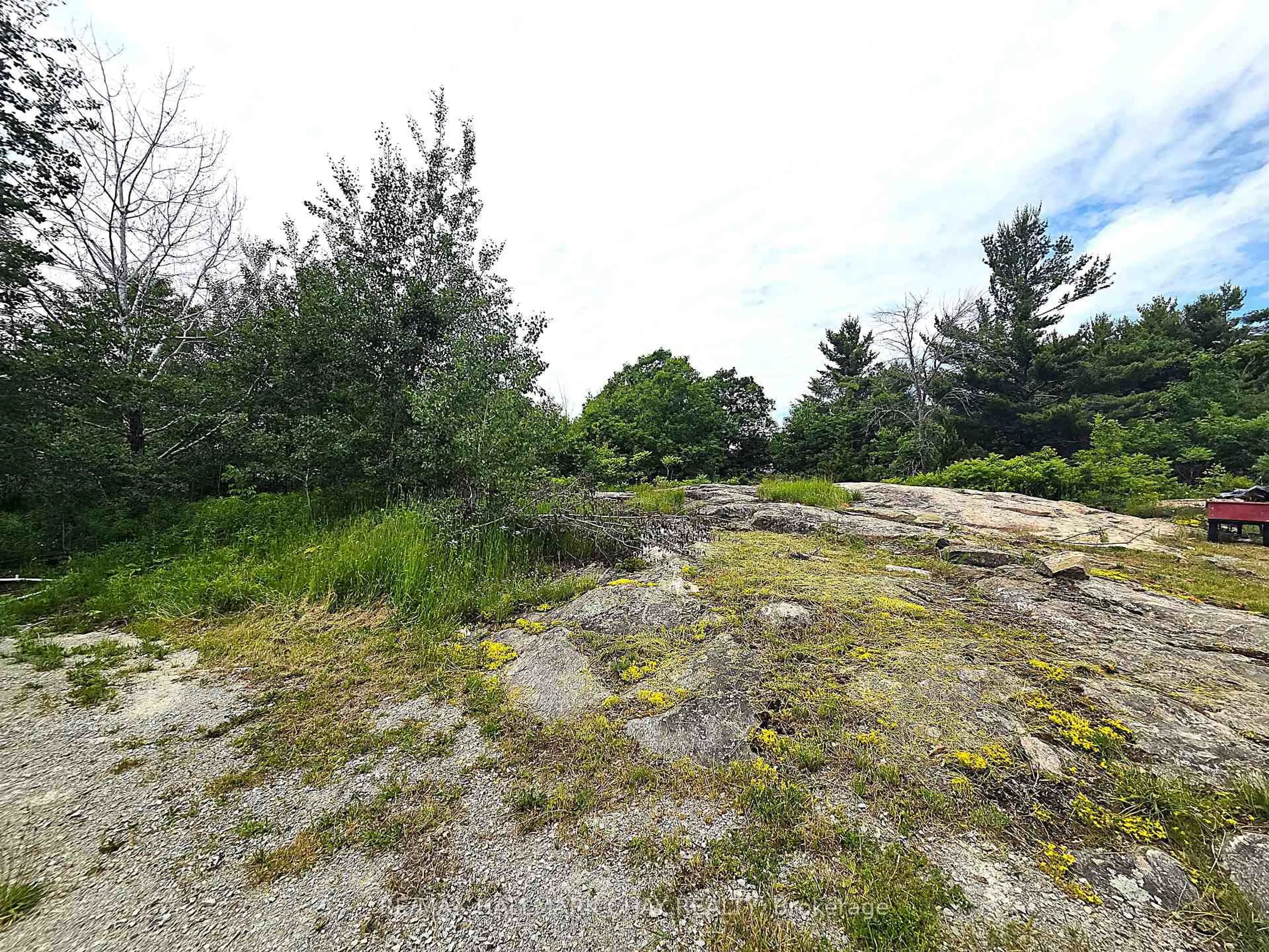 A pic from outside/outdoor area/front of a property/back of a property/a pic from drone, forest/trees view for 1594 Honey Harbour Rd, Georgian Bay Ontario L0K 1S0