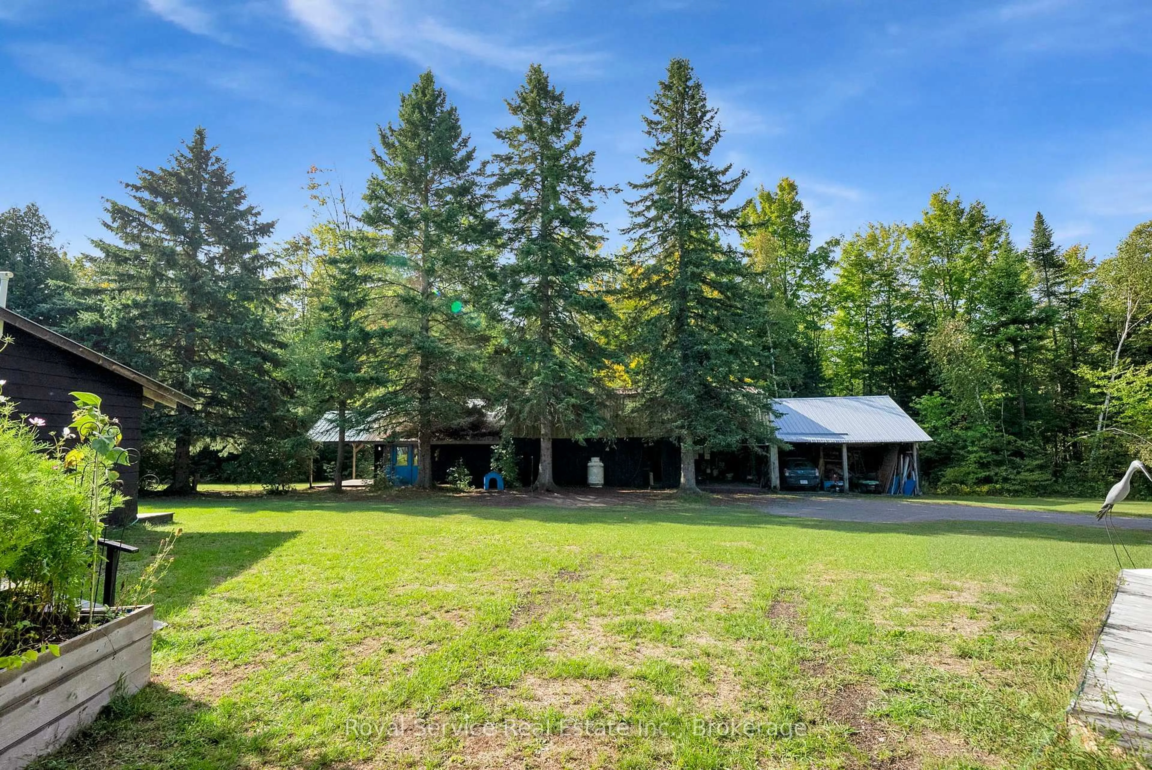 A pic from outside/outdoor area/front of a property/back of a property/a pic from drone, forest/trees view for 1204 Pigeon Creek Rd, Kawartha Lakes Ontario L0B 1K0