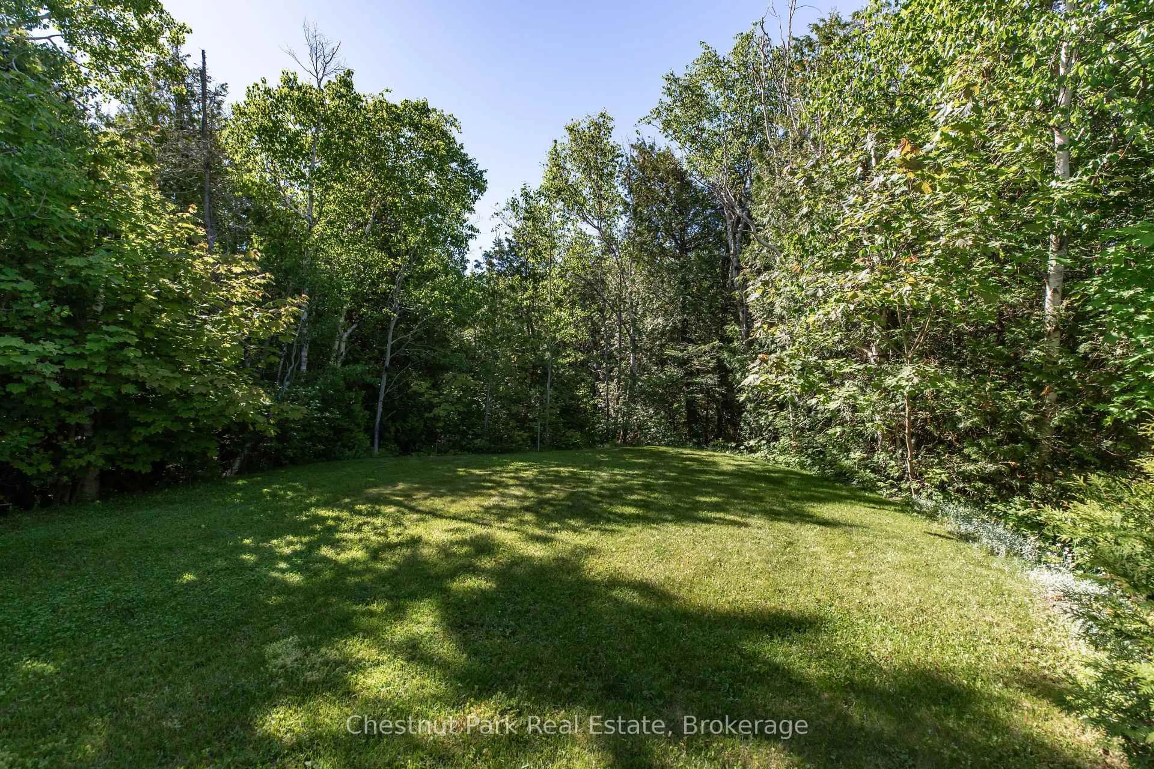 A pic from outside/outdoor area/front of a property/back of a property/a pic from drone, forest/trees view for 56 ZORRA Dr, Northern Bruce Peninsula Ontario N0H 2R0