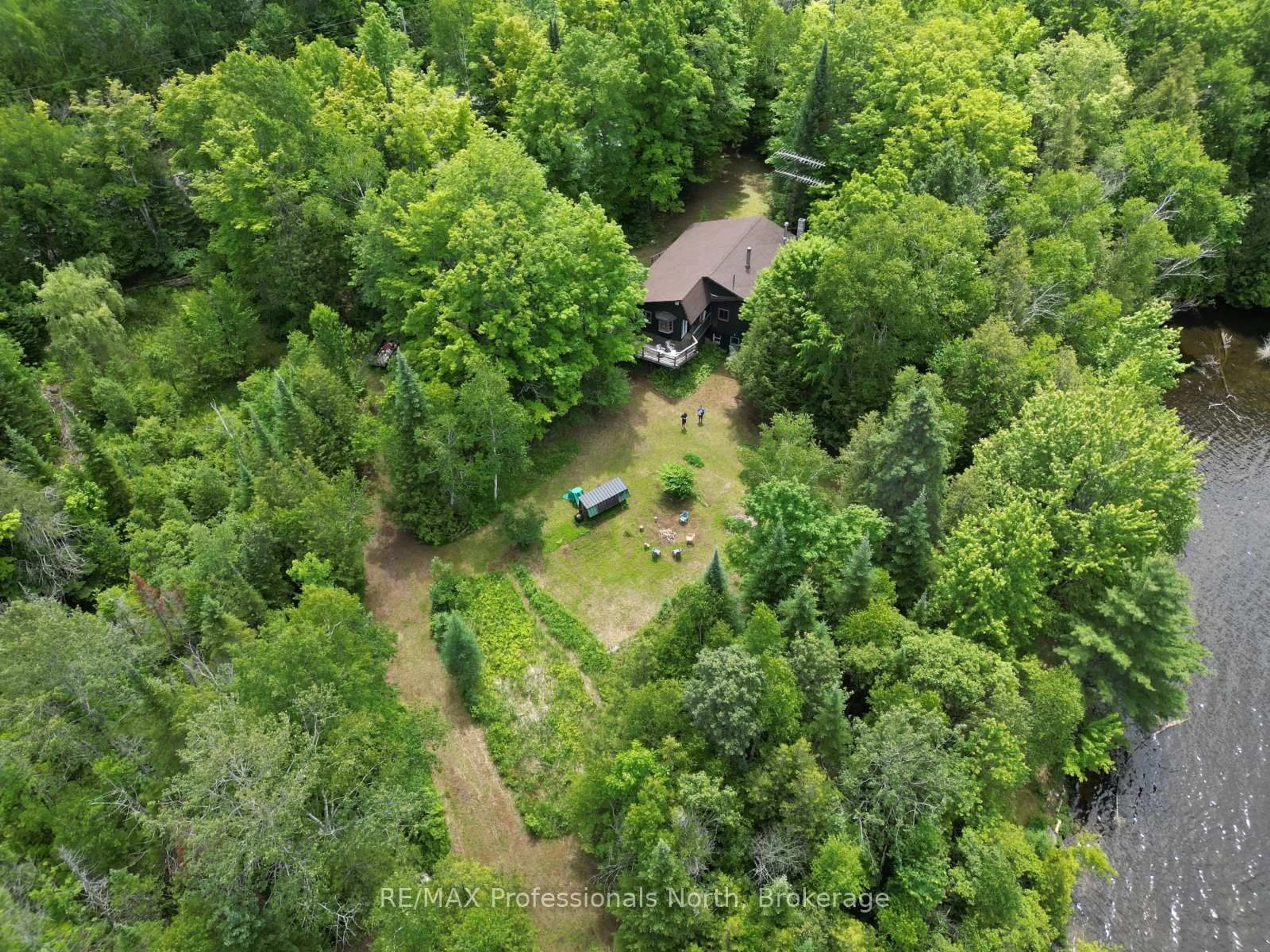 A pic from outside/outdoor area/front of a property/back of a property/a pic from drone, forest/trees view for 2397 Kashagawigamog Lake Rd, Minden Hills Ontario K0M 2K0