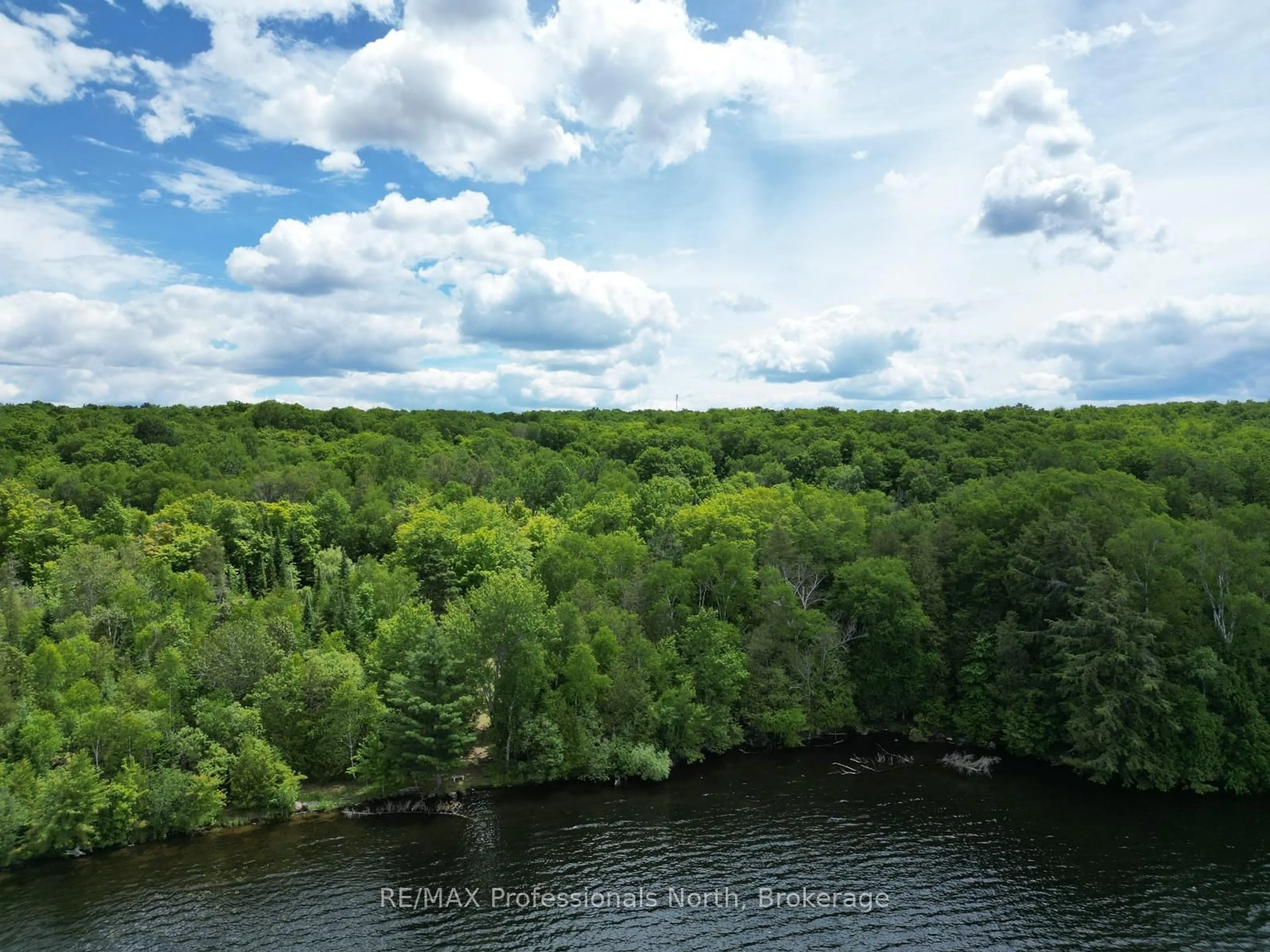 A pic from outside/outdoor area/front of a property/back of a property/a pic from drone, water/lake/river/ocean view for 2397 Kashagawigamog Lake Rd, Minden Hills Ontario K0M 2K0