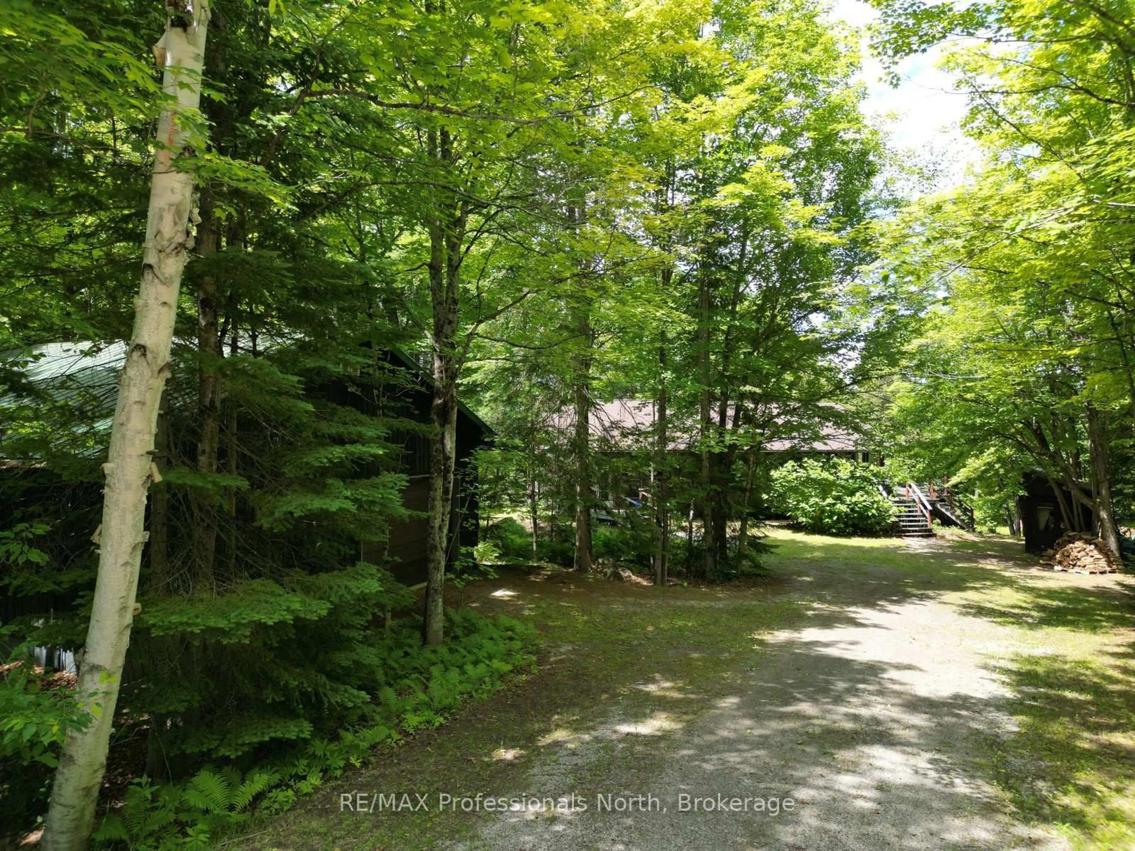 A pic from outside/outdoor area/front of a property/back of a property/a pic from drone, forest/trees view for 2397 Kashagawigamog Lake Rd, Minden Hills Ontario K0M 2K0