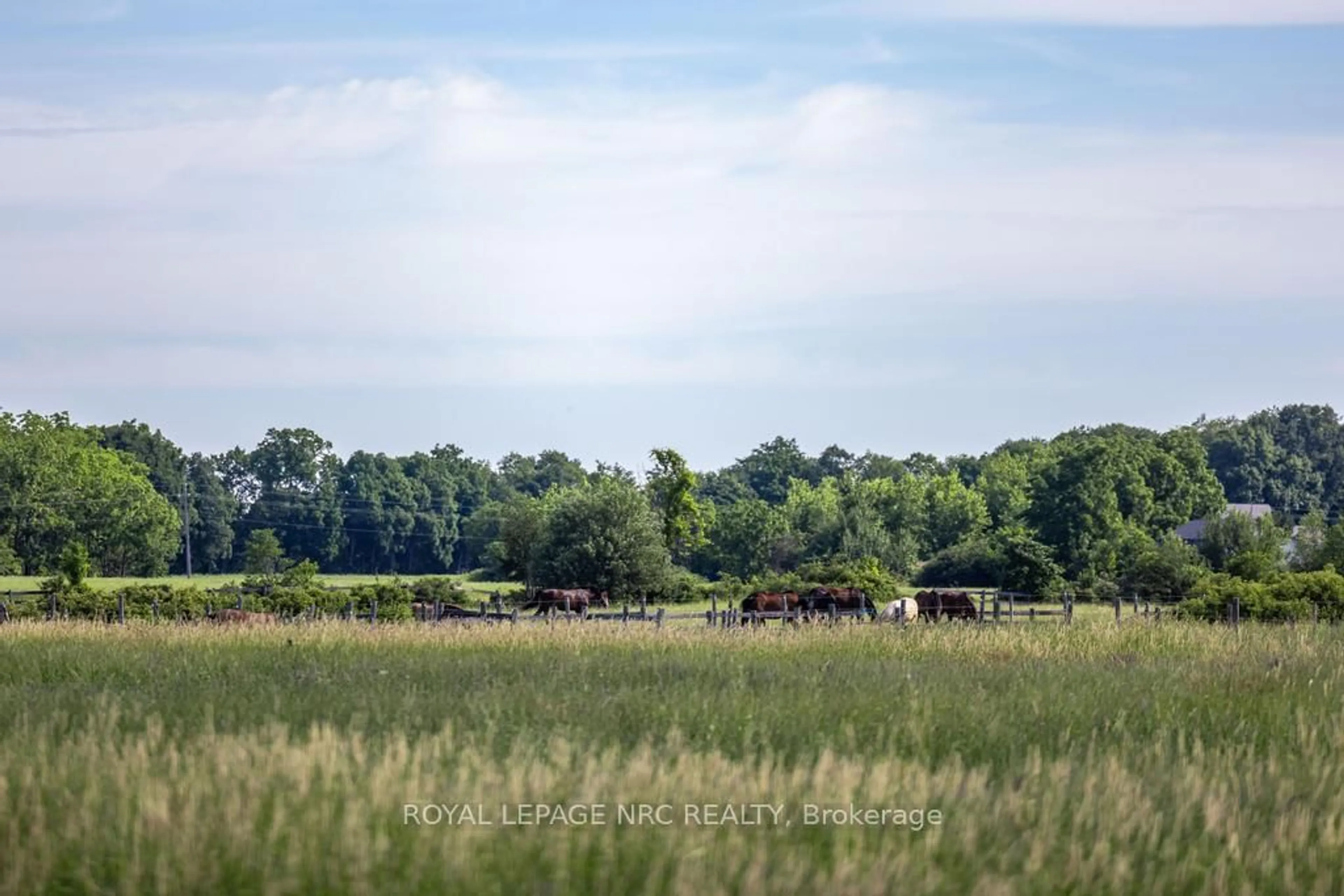 Blurry image for 295 Sawmill Rd, Pelham Ontario L2R 6P7