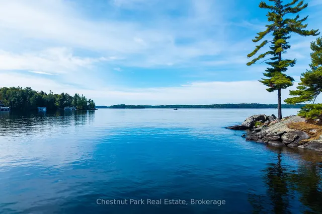 1121 Scarcliffe Rd #20, Muskoka Lakes 3