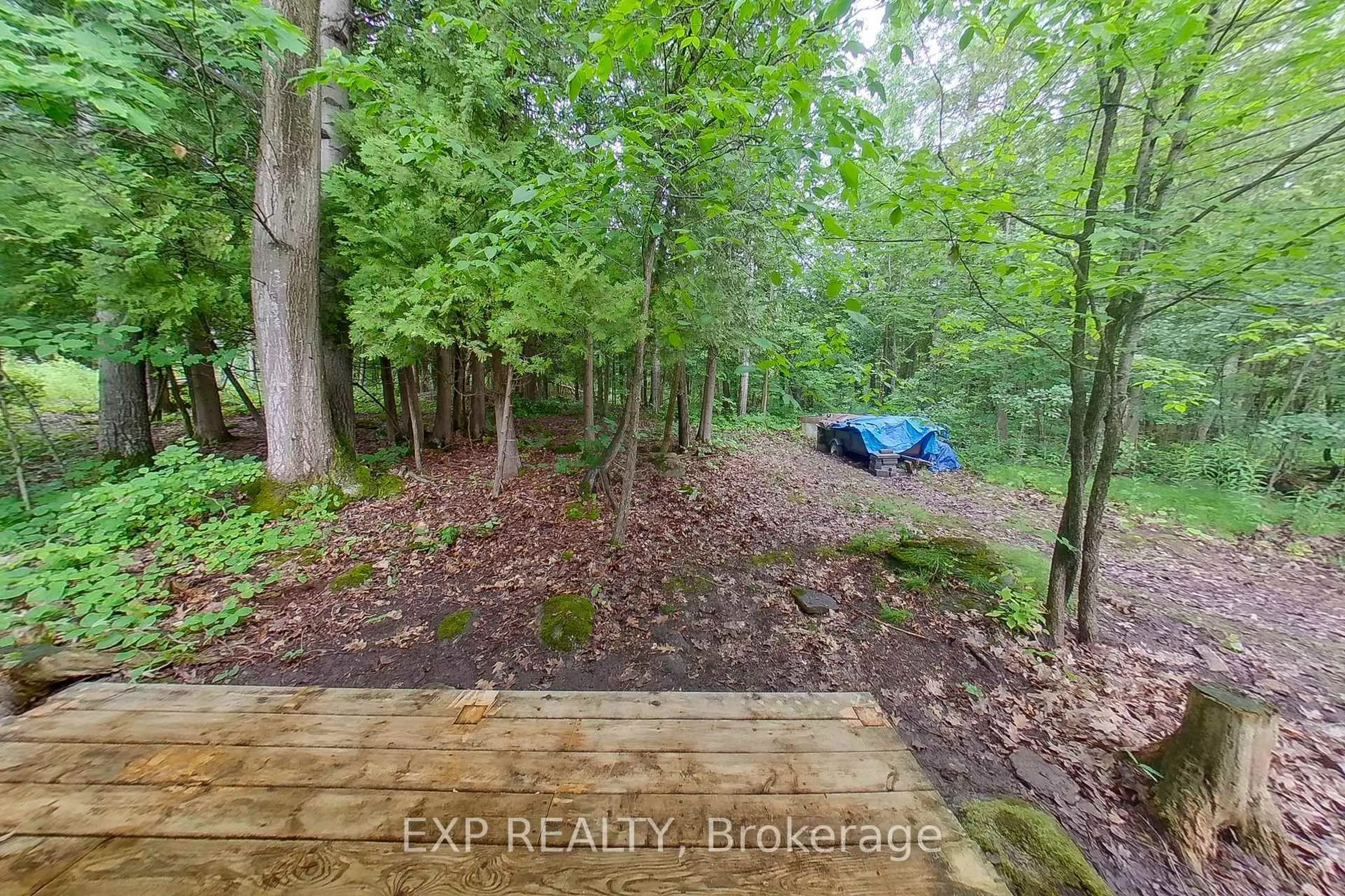 A pic from outside/outdoor area/front of a property/back of a property/a pic from drone, forest/trees view for 360 Cedar Ave, Meaford Ontario N4L 1W5