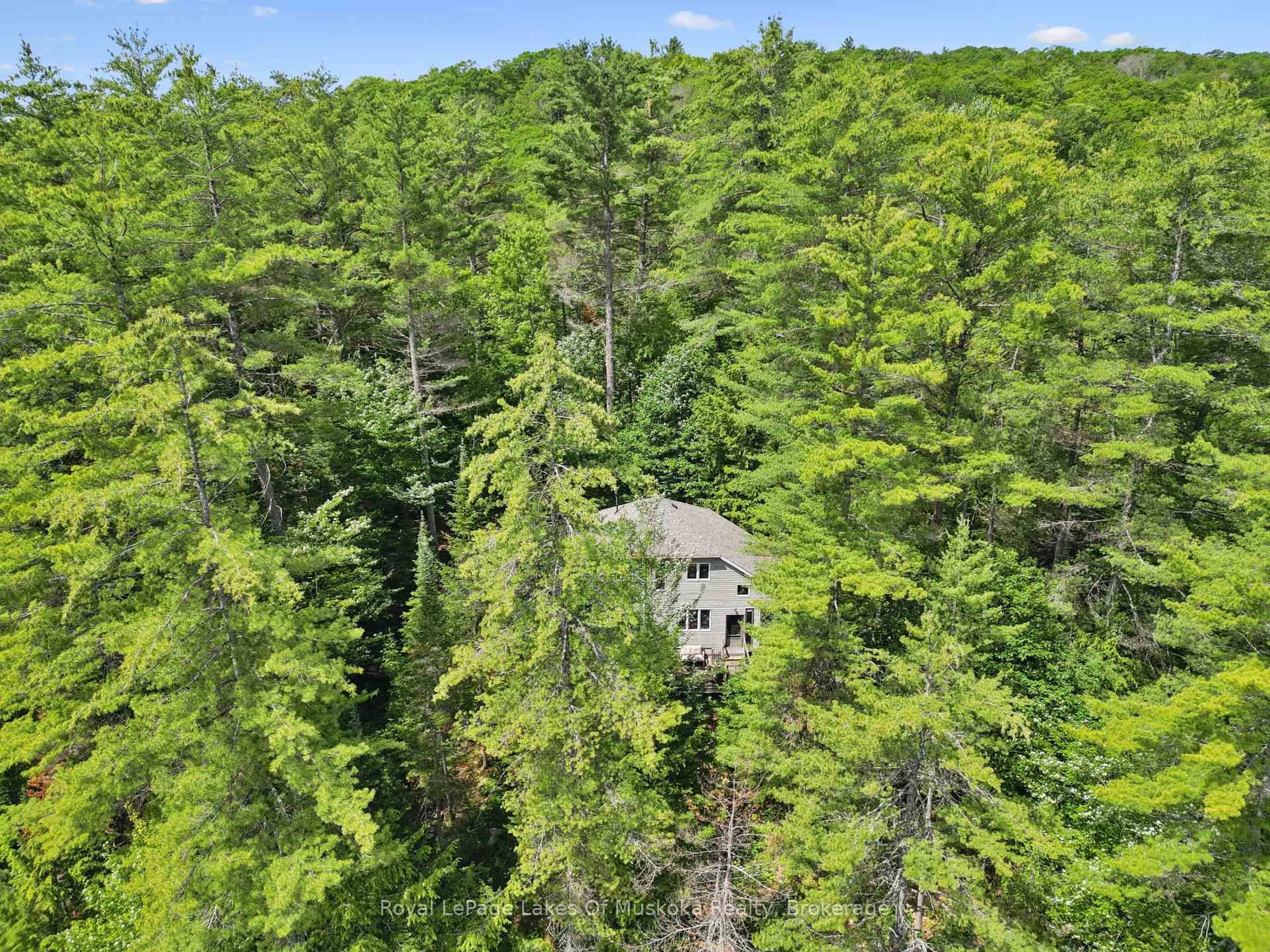A pic from outside/outdoor area/front of a property/back of a property/a pic from drone, forest/trees view for 1117 Craftsman Dr, Algonquin Highlands Ontario P0A 1E0