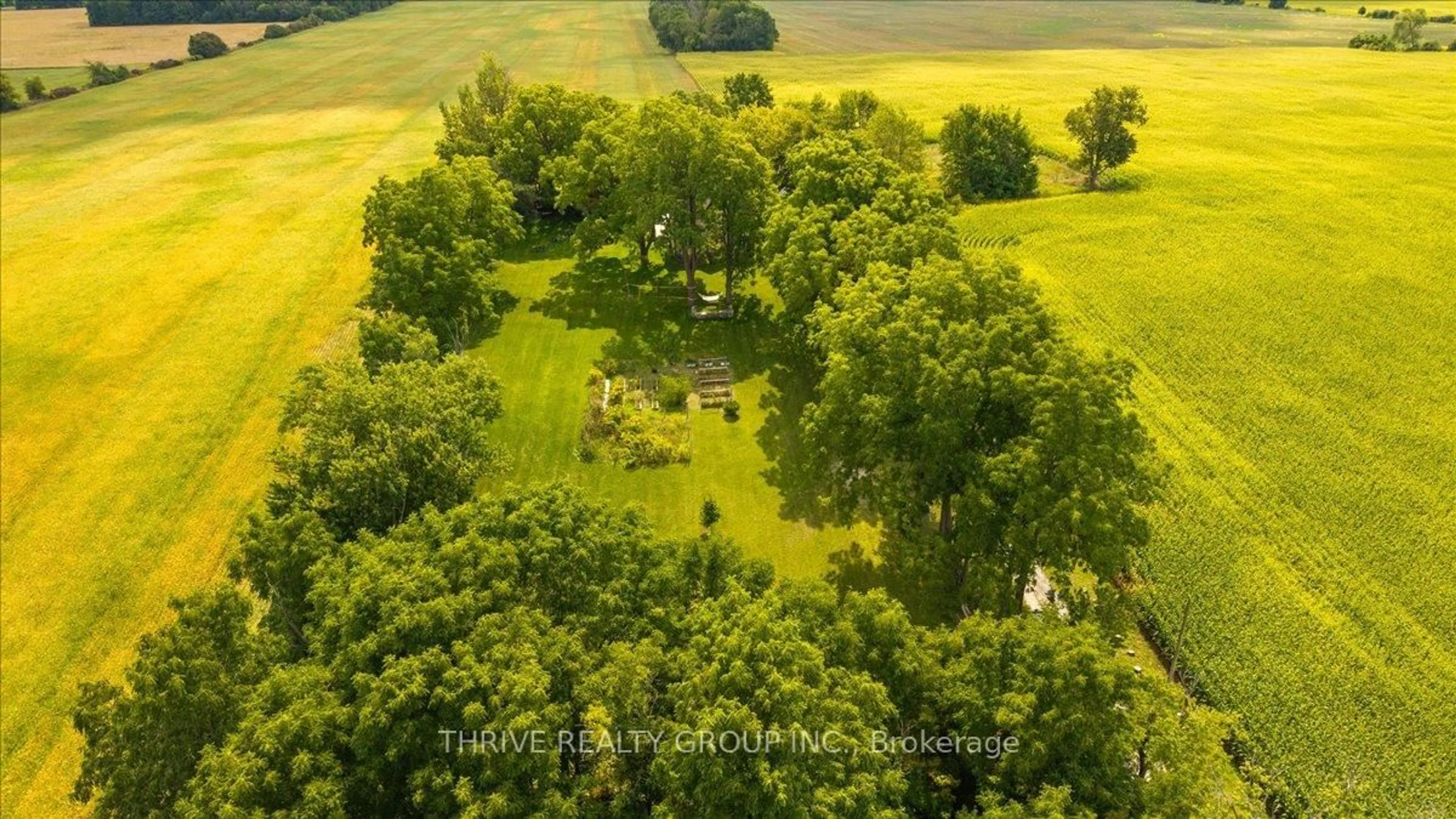 A pic from outside/outdoor area/front of a property/back of a property/a pic from drone, forest/trees view for 8567 Revere Dr, Lucan Biddulph Ontario N0M 1V0