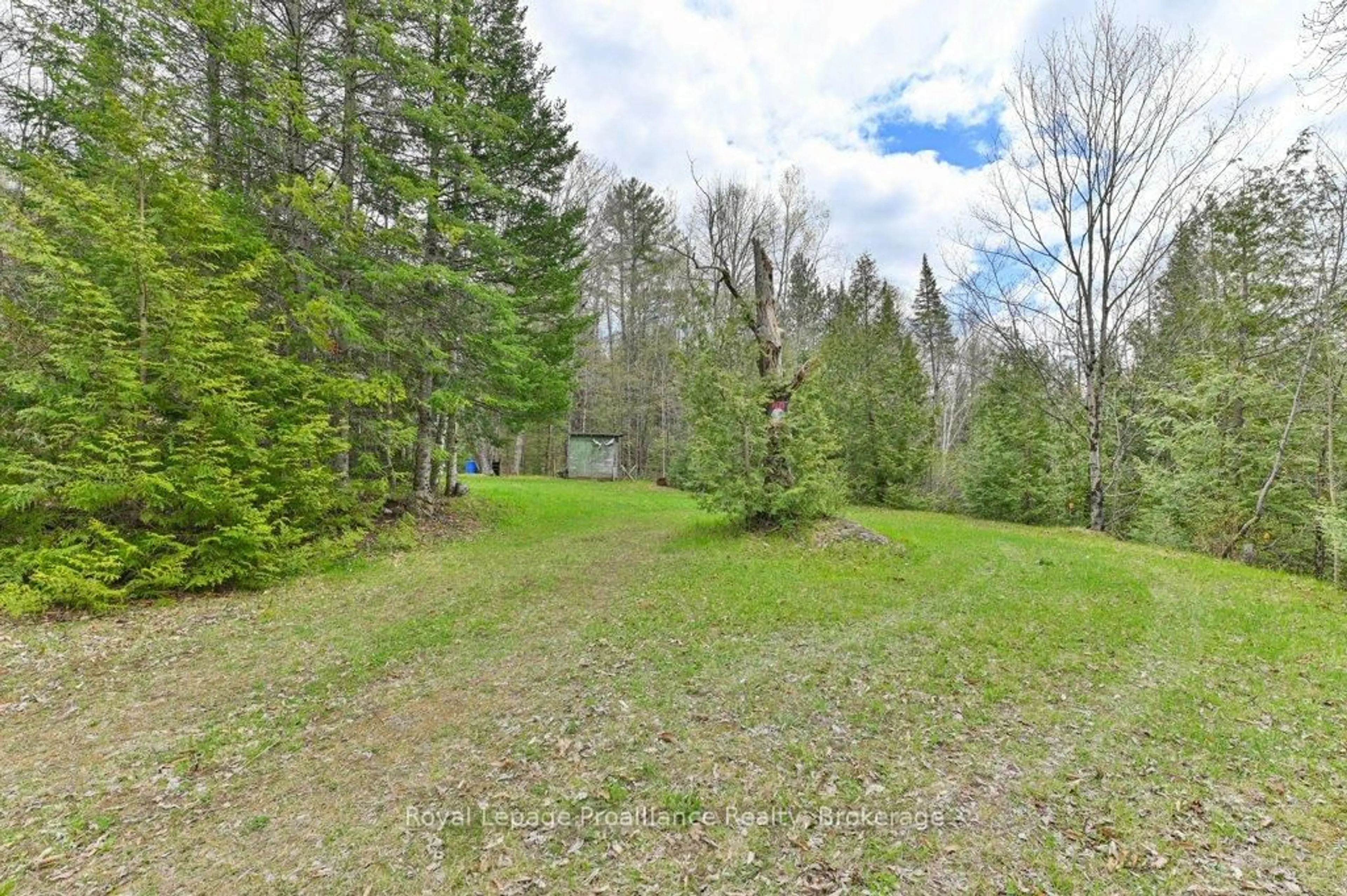 A pic from outside/outdoor area/front of a property/back of a property/a pic from drone, forest/trees view for 2611 River Rd, Ompah Ontario K0H 2J0