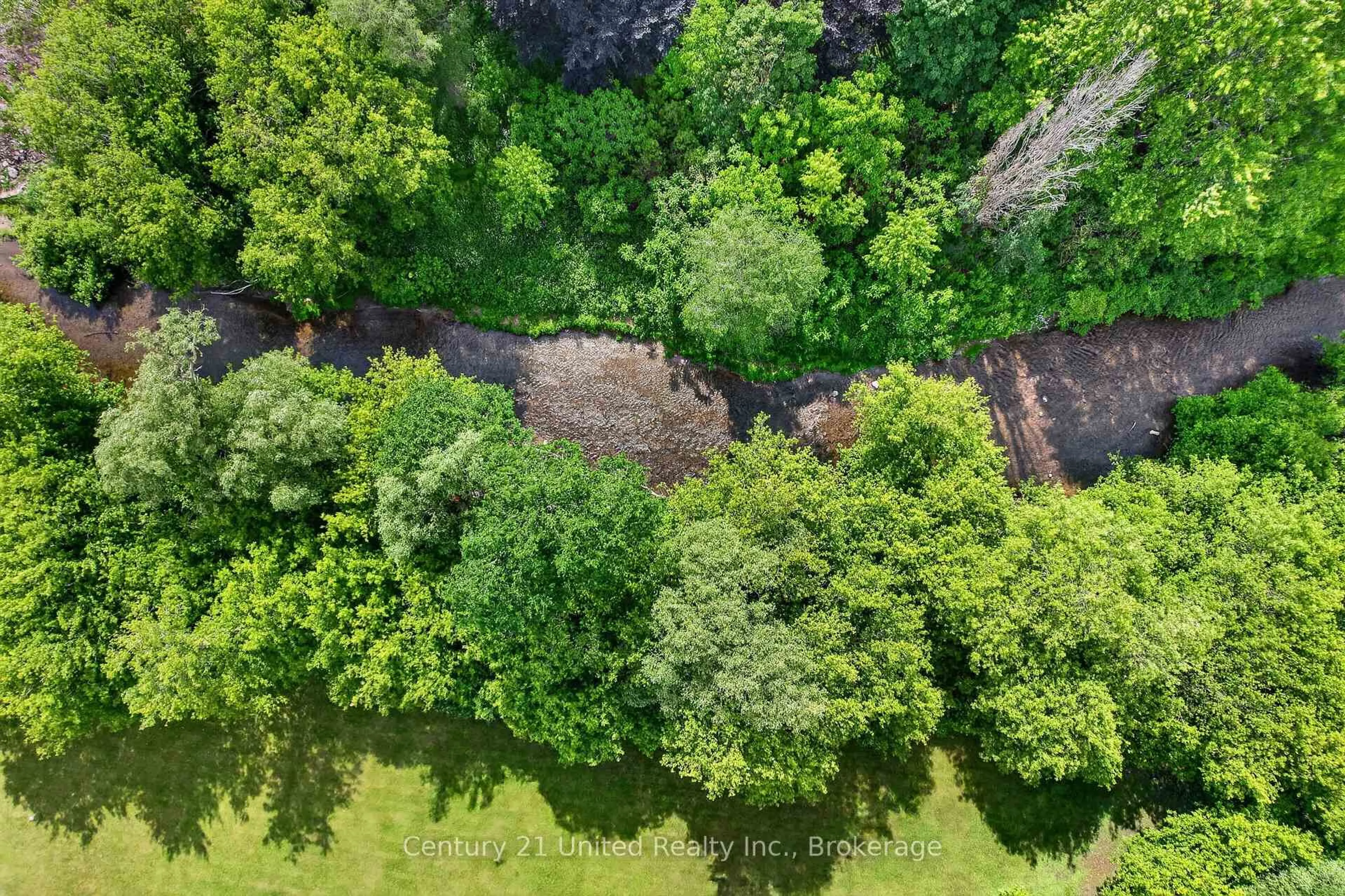 A pic from outside/outdoor area/front of a property/back of a property/a pic from drone, forest/trees view for 670 William St, Cobourg Ontario K9A 3A5