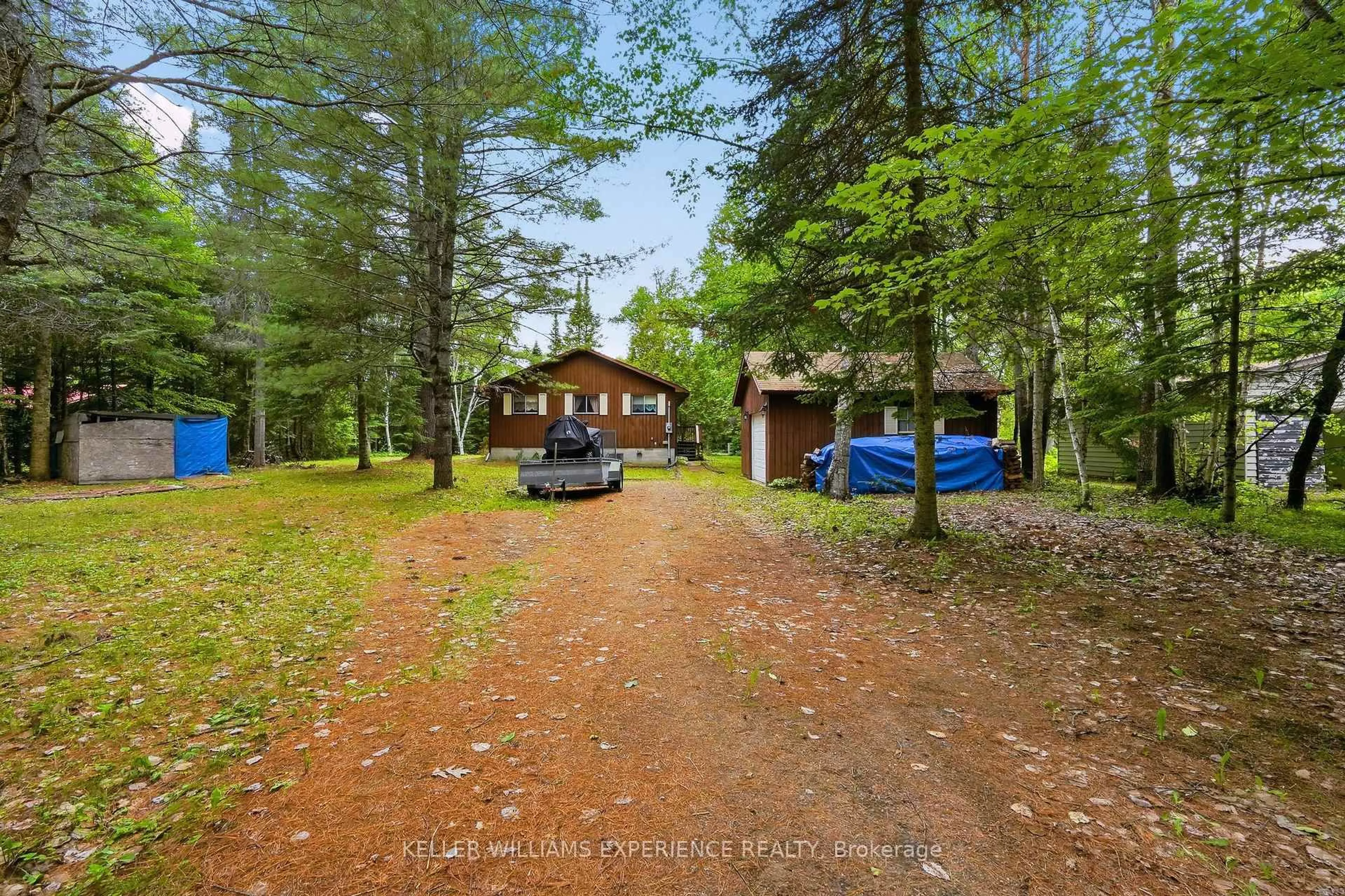A pic from outside/outdoor area/front of a property/back of a property/a pic from drone, forest/trees view for 1689 Braeloch Rd, Algonquin Highlands Ontario K0M 1S0