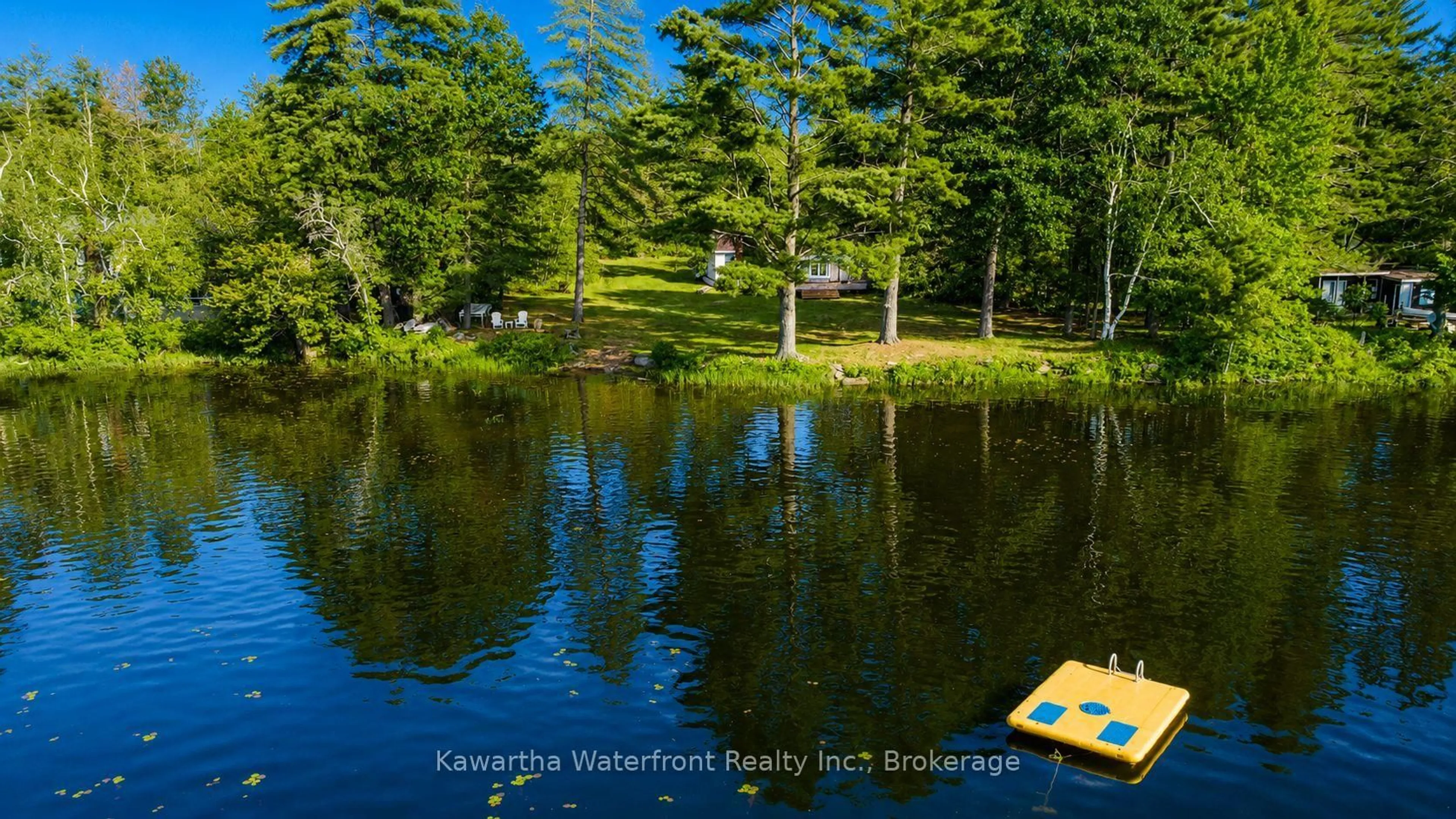 Pool for 388 North Shore Rd, Kawartha Lakes Ontario K0M 2B0