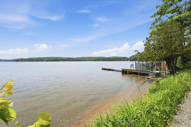1163 REYNOLDS Rd, Minden Hills 2