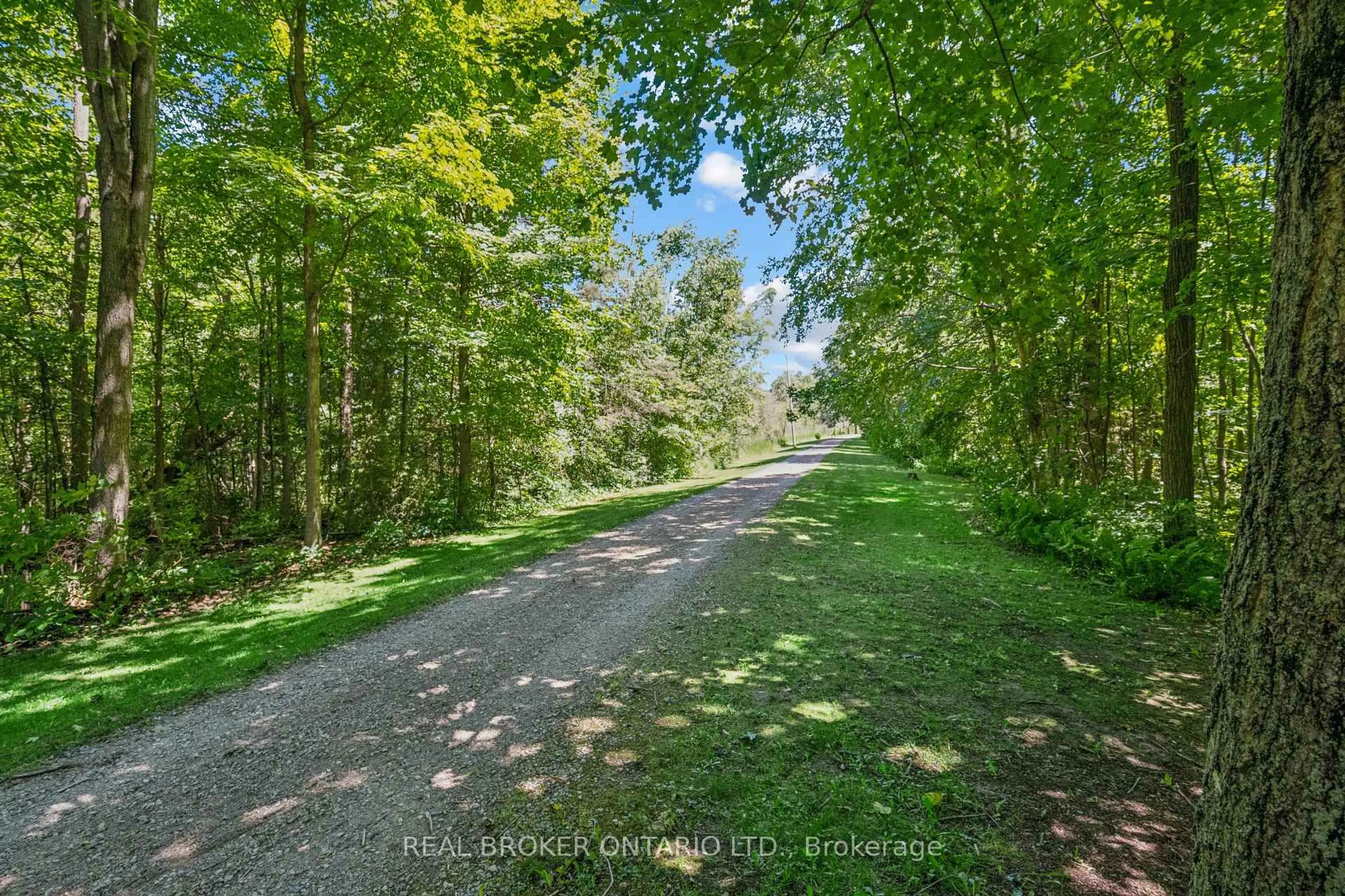 A pic from outside/outdoor area/front of a property/back of a property/a pic from drone, forest/trees view for 5678 Fourth Line, Guelph/Eramosa Ontario N0B 2K0