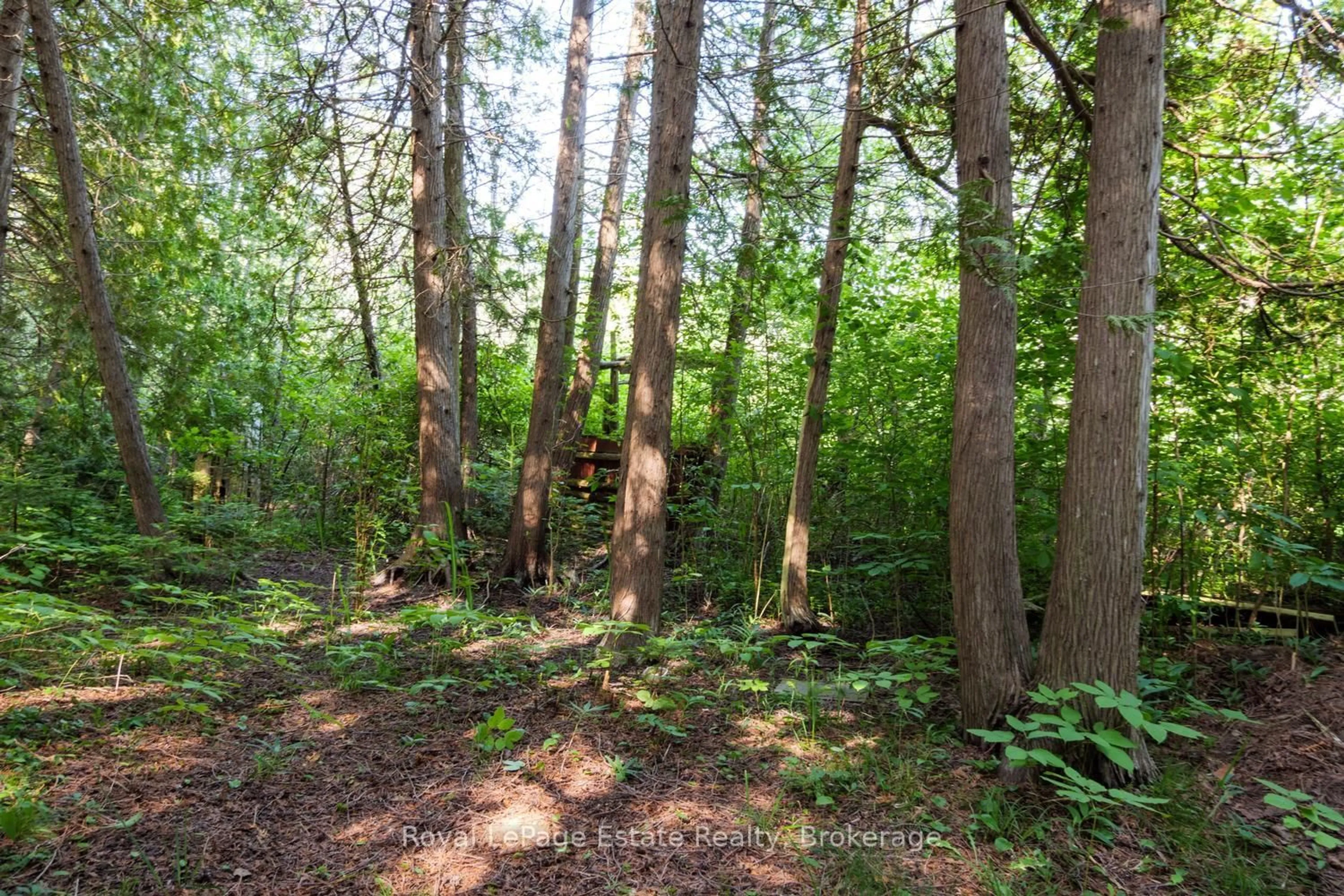 Blurry image for 125 Third Ave, South Bruce Peninsula Ontario N0H 2G0