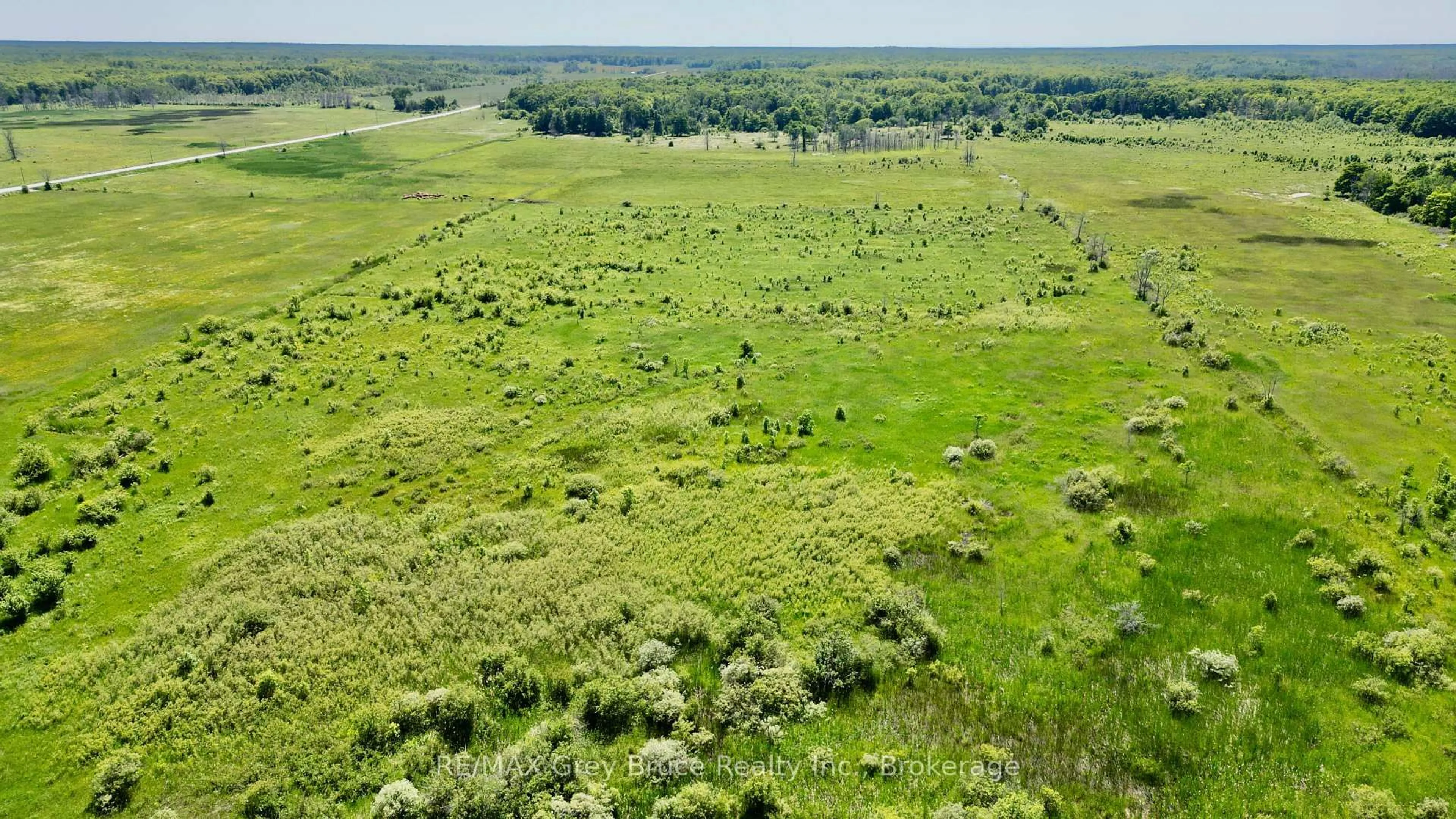 A pic from outside/outdoor area/front of a property/back of a property/a pic from drone, forest/trees view for 43 Bartley Dr, Northern Bruce Peninsula Ontario N0H 1Z0