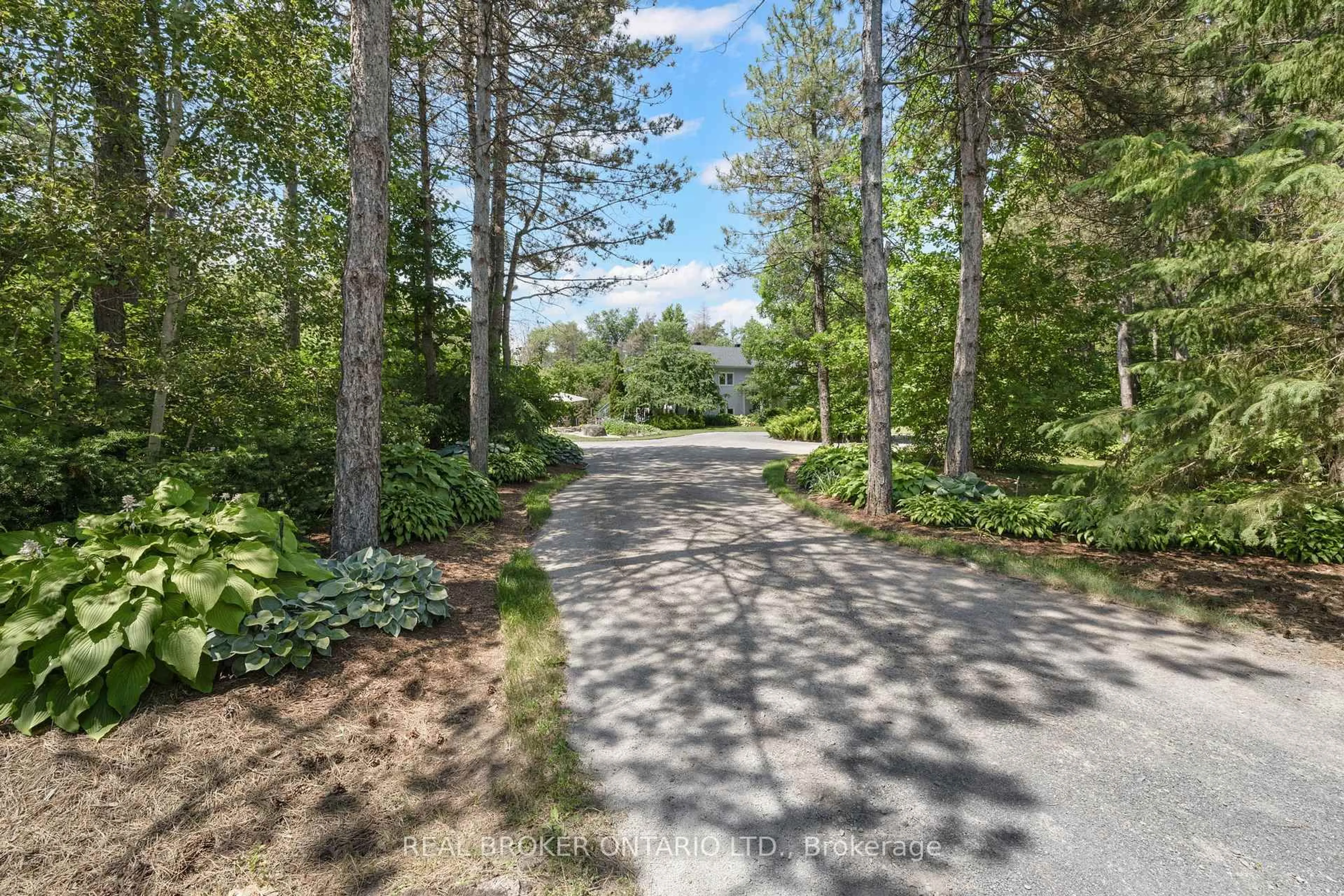 A pic from outside/outdoor area/front of a property/back of a property/a pic from drone, forest/trees view for 6550 Rideau Valley Dr, Manotick Ontario K4M 1B3