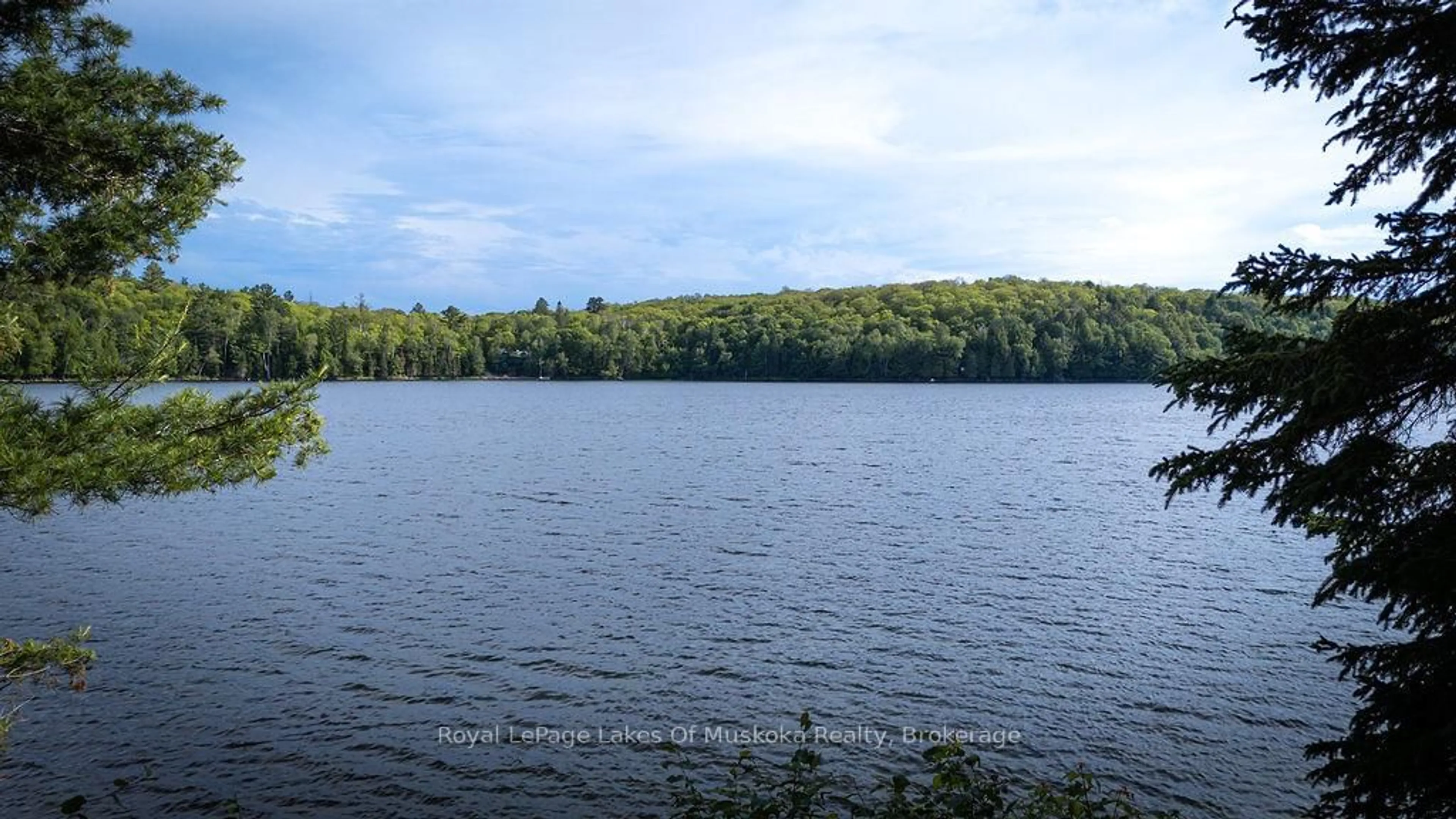 Blurry image for 2245 Ahmic Lake Rd, Magnetawan Ontario P0A 1P0