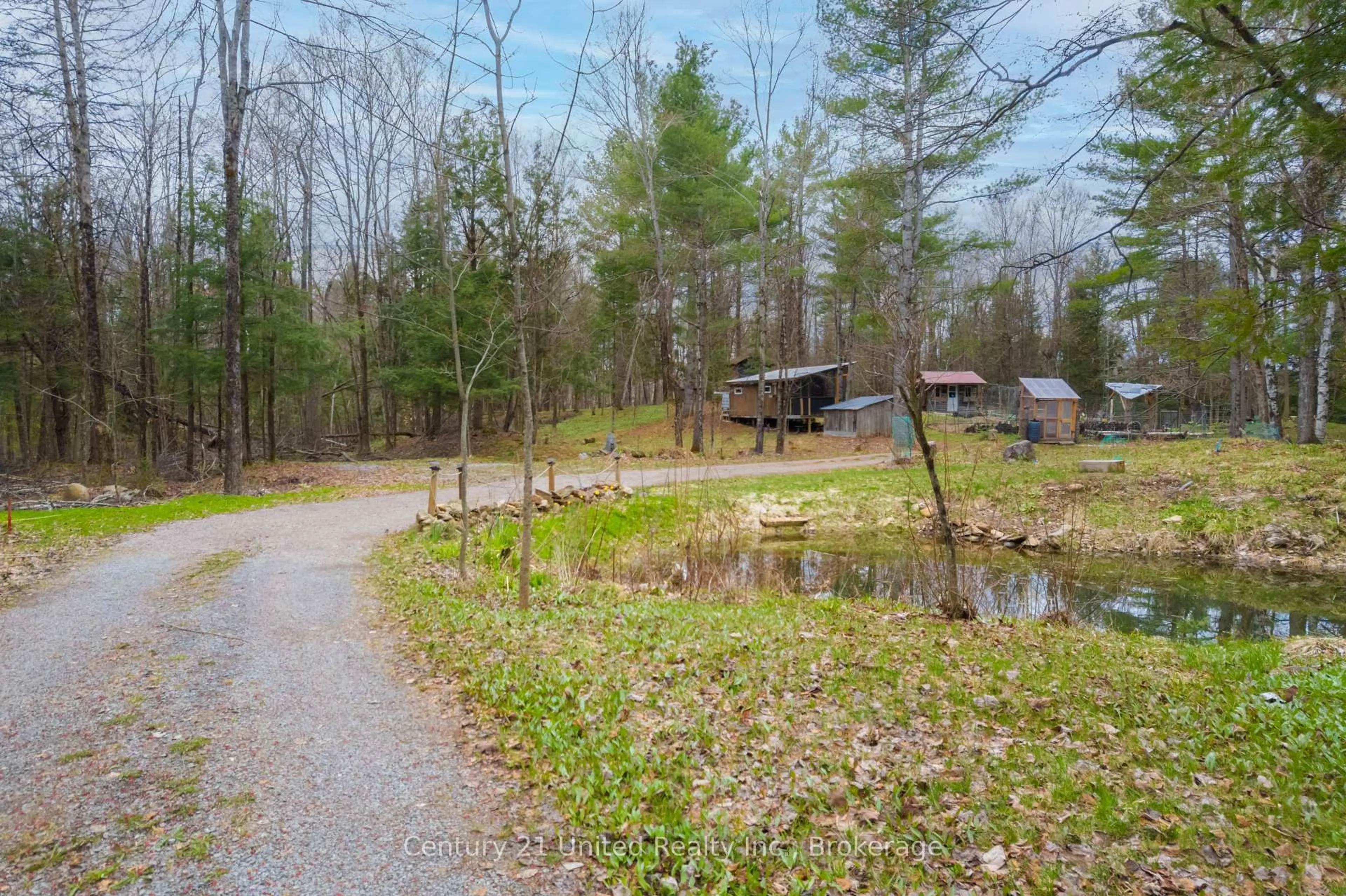 Patio, forest/trees view for 0 Near Bannockburn Rd, Madoc Ontario K0K 1Y0
