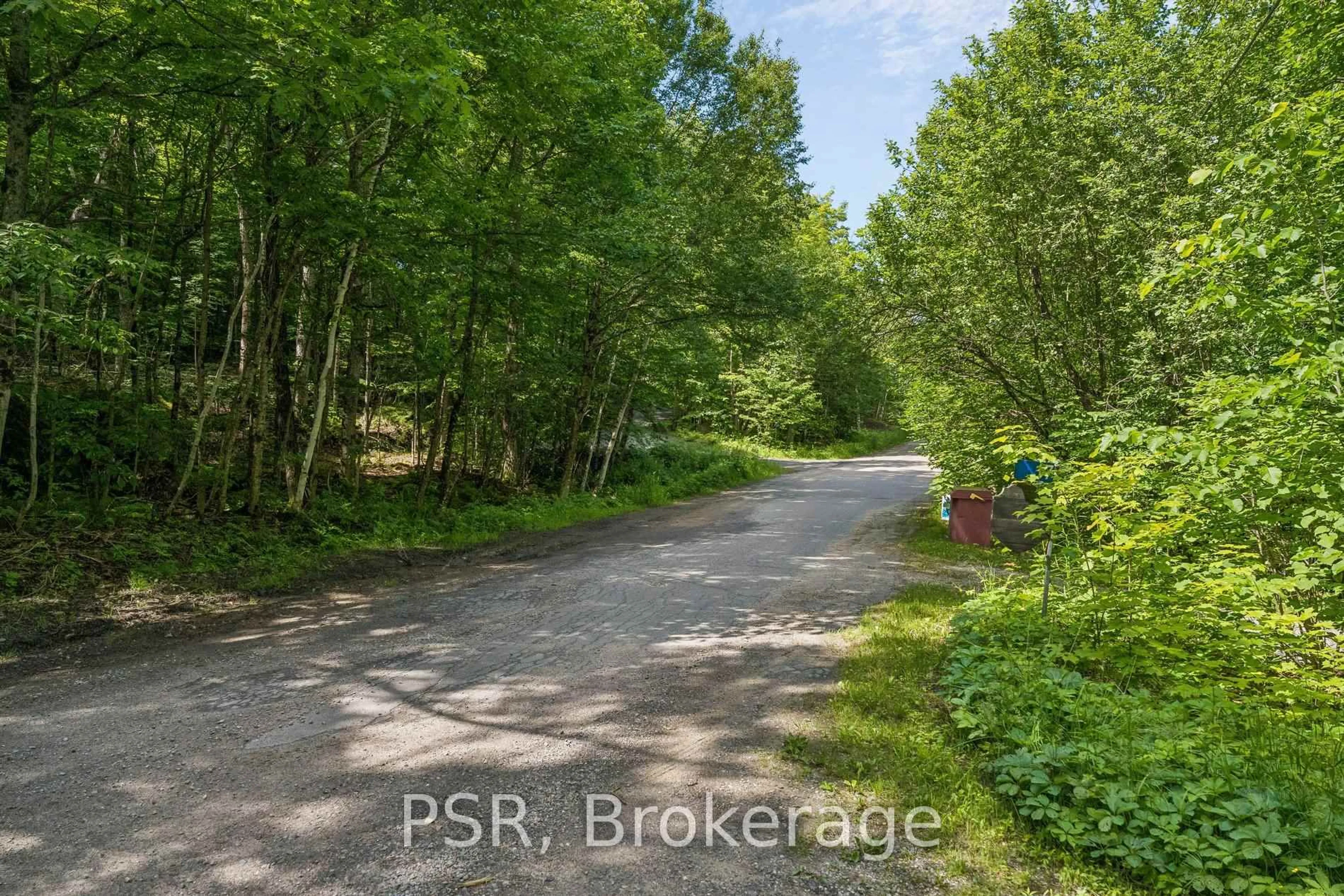 A pic from outside/outdoor area/front of a property/back of a property/a pic from drone, forest/trees view for 1158 Shea Rd #17, Muskoka Lakes Ontario P0B 1M0