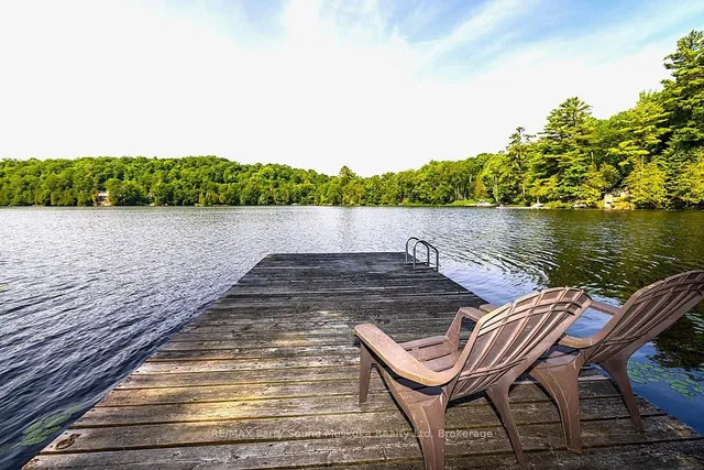 509 Horseshoe Lake WA (Bear Lane), Seguin 4