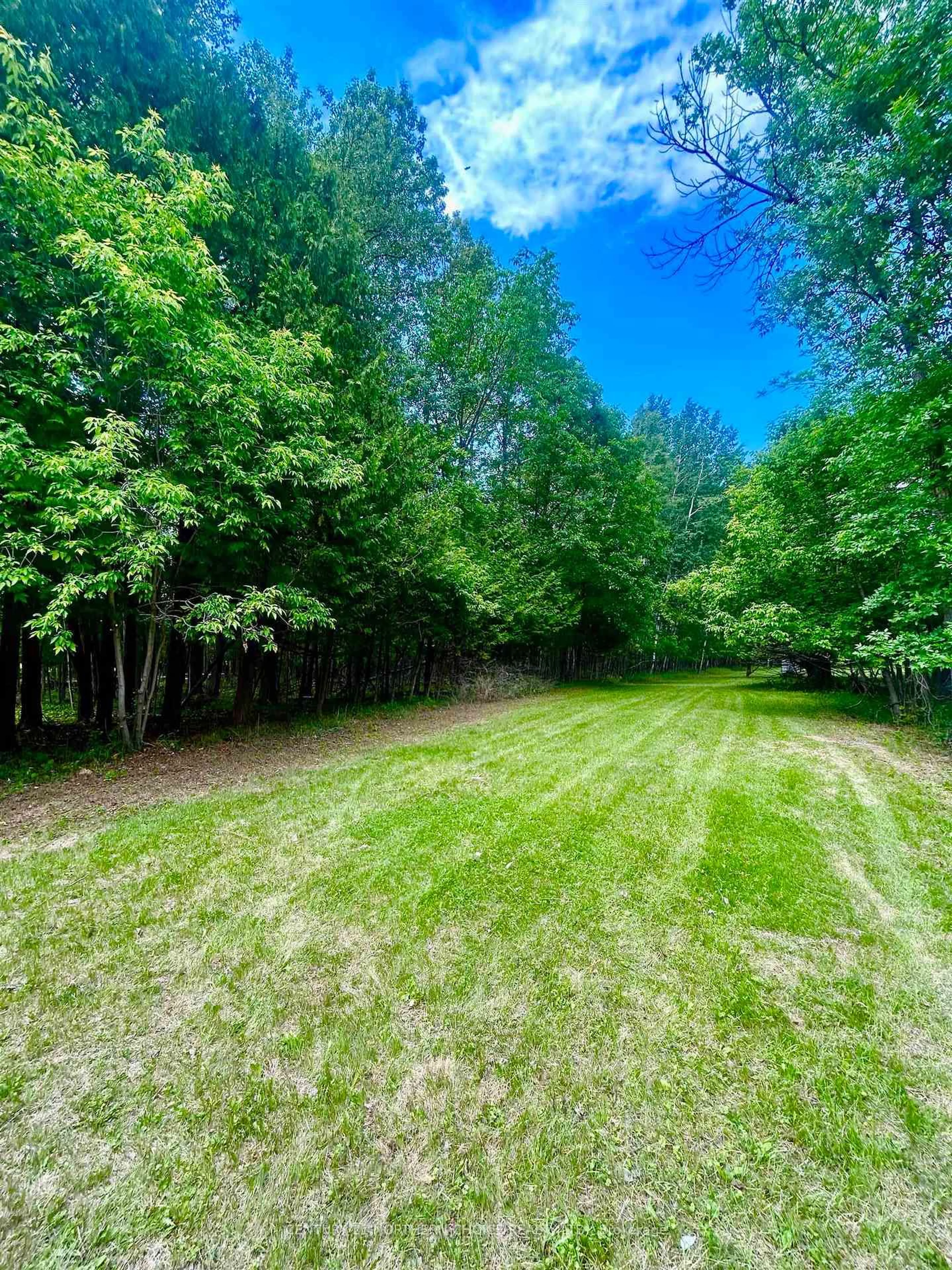 A pic from outside/outdoor area/front of a property/back of a property/a pic from drone, forest/trees view for 1312 Emo Road, Fort Frances Ontario P9A 2V5