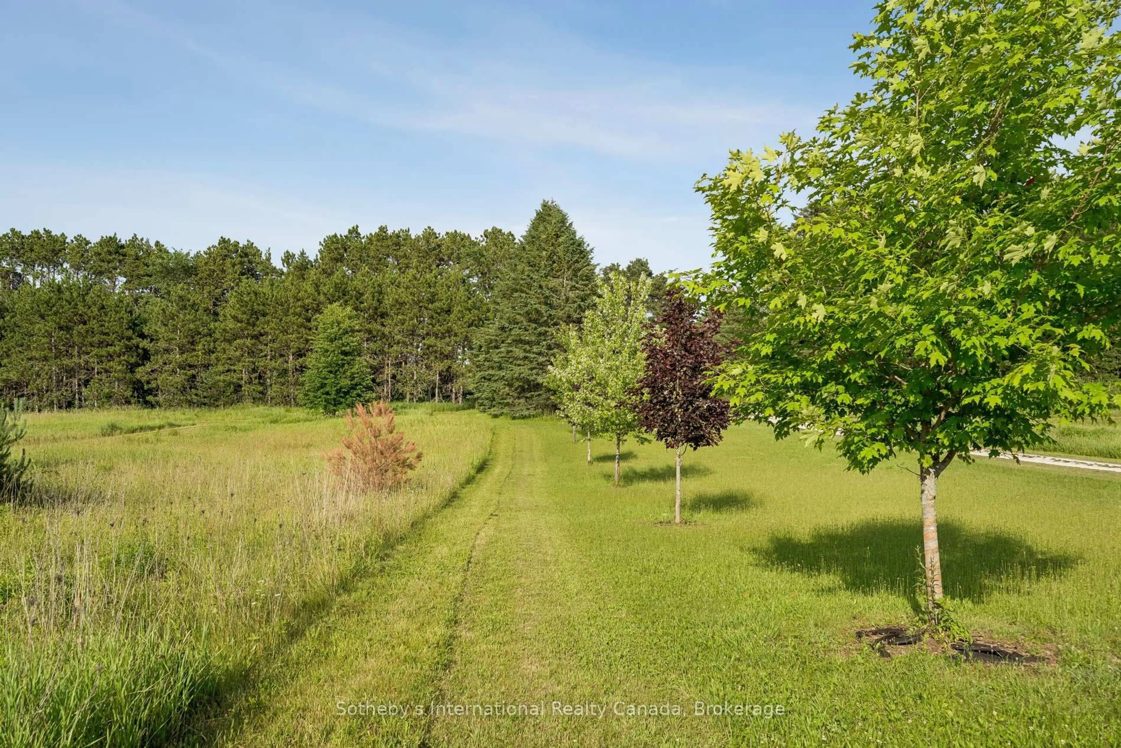 A pic from outside/outdoor area/front of a property/back of a property/a pic from drone, forest/trees view for 938400 Airport Rd, Mulmur Ontario L9V 0M1
