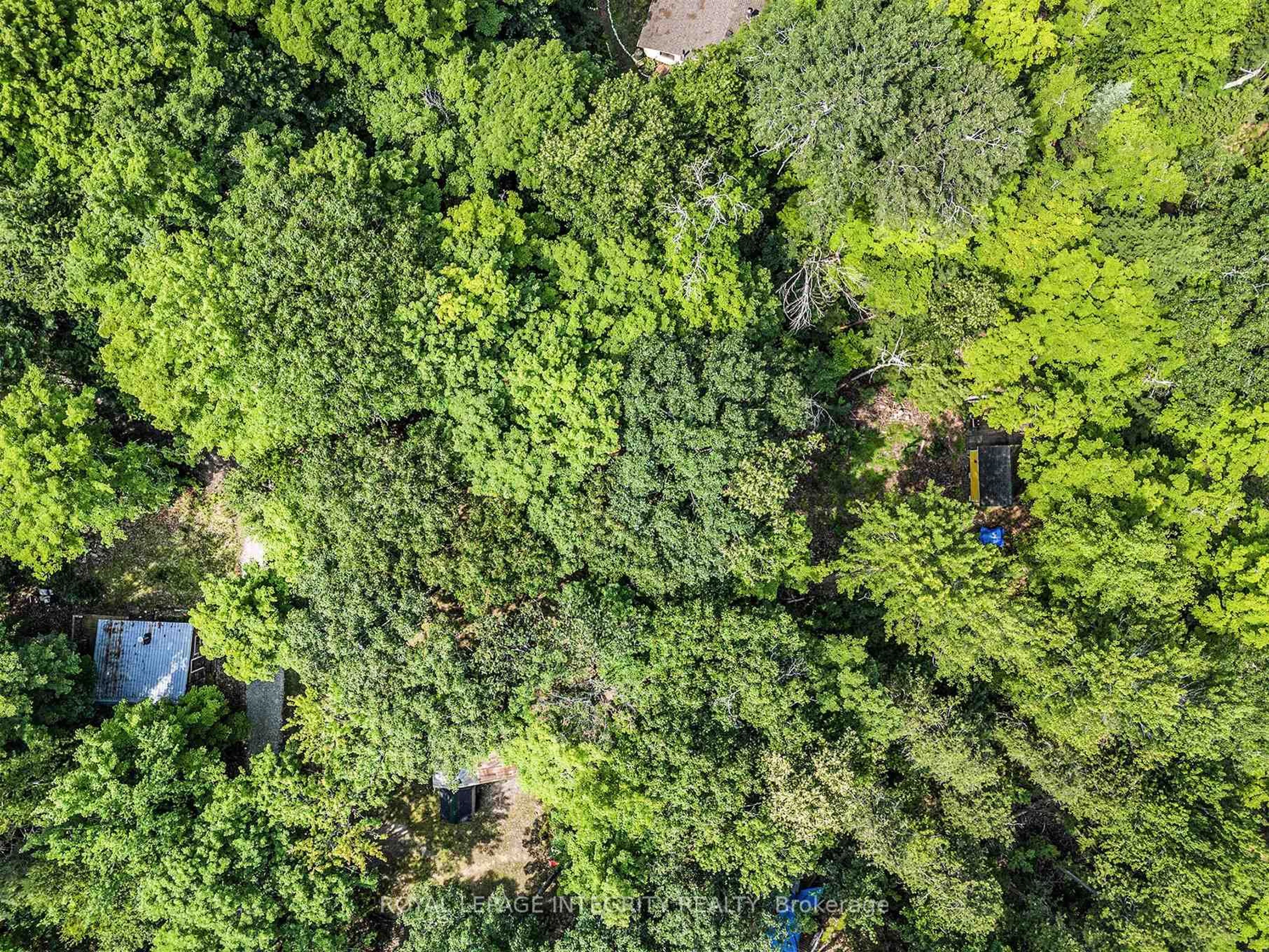 A pic from outside/outdoor area/front of a property/back of a property/a pic from drone, forest/trees view for Pt L 27 Bow Lake Lane, Lanark Ontario K0G 1K0